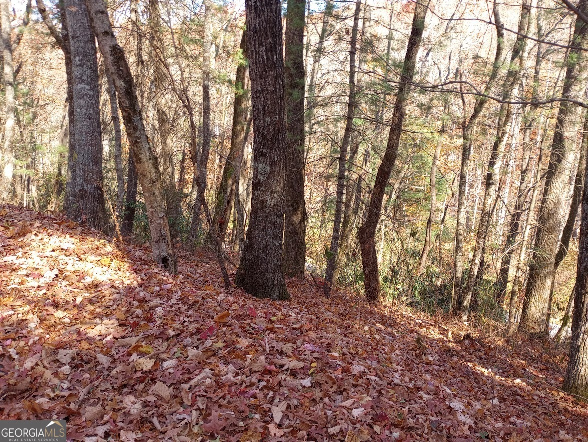 0 Rebel Circle Lot 3 Property Photo 4