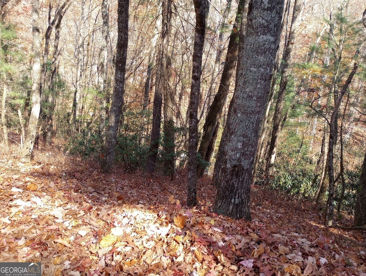 0 Rebel Circle Lot 3 Property Photo 5