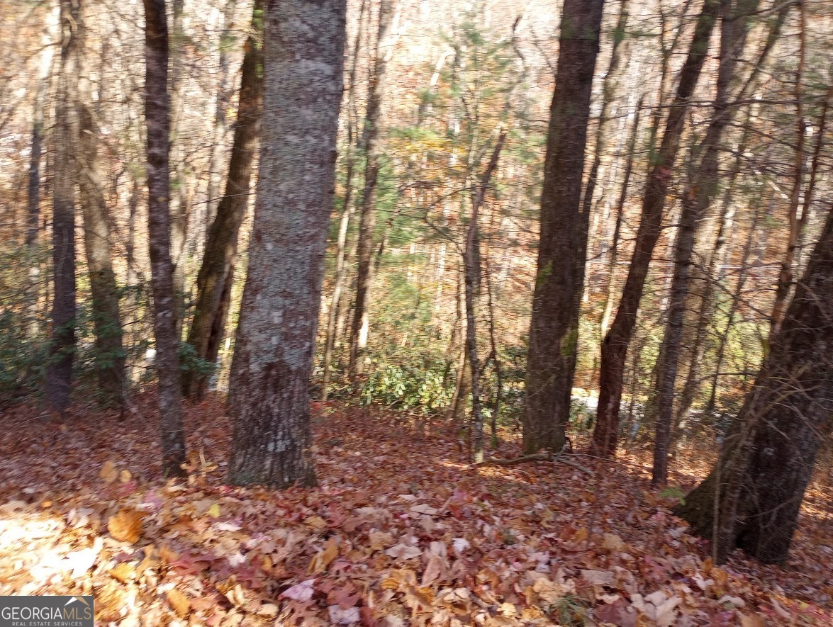 0 Rebel Circle Lot 3 Property Photo 6