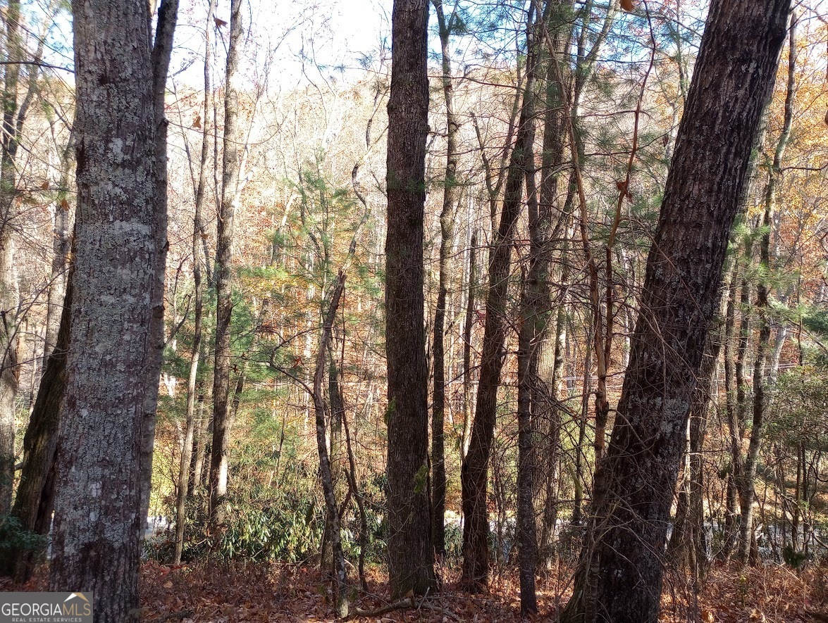 0 Rebel Circle Lot 3 Property Photo 7