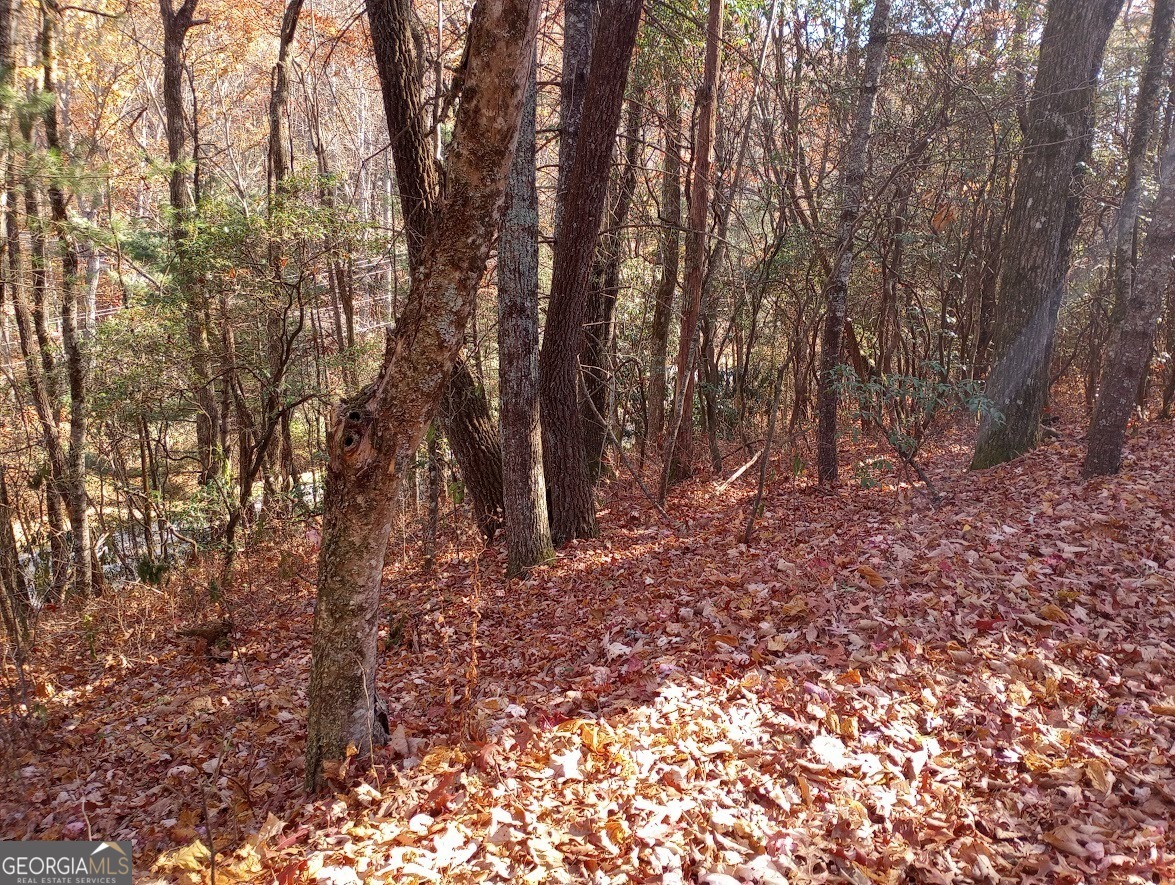 0 Rebel Circle Lot 3 Property Photo 8