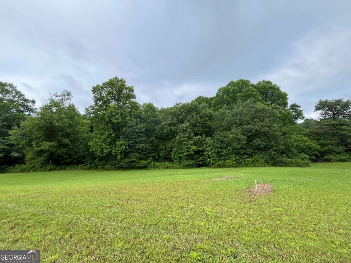 Lot 117 Owen Glen Drive Property Photo 1