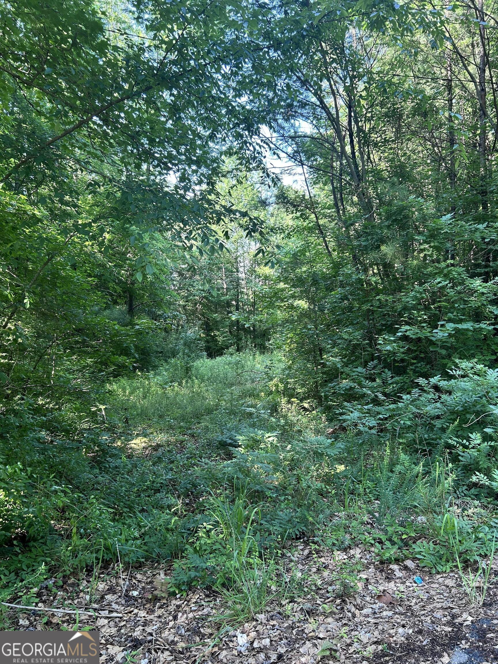36 Lake Top Drive Se Property Photo 3