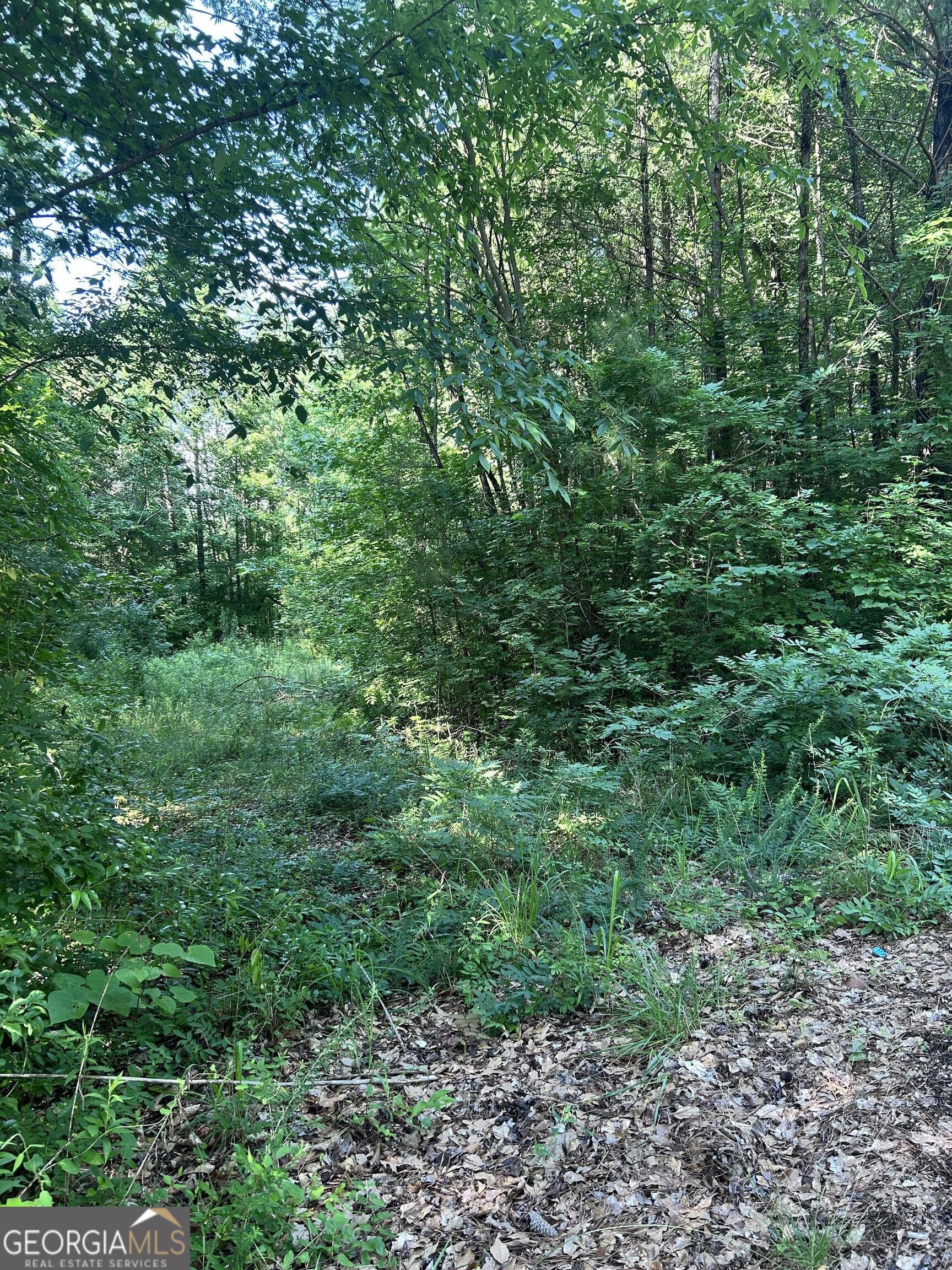 36 Lake Top Drive Se Property Photo 4