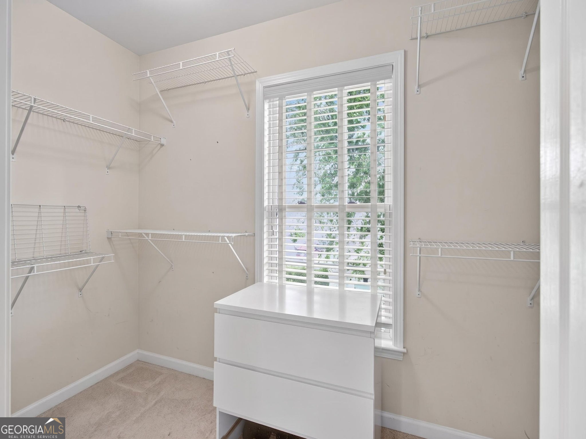 5135 Fieldgate Ridge Drive Property Photo 49