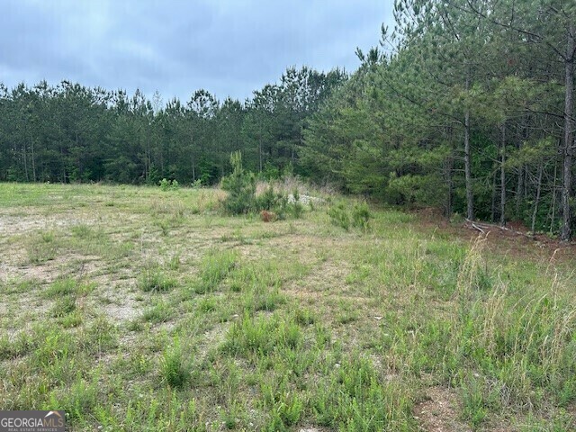55 Spring Place Road Property Photo 15