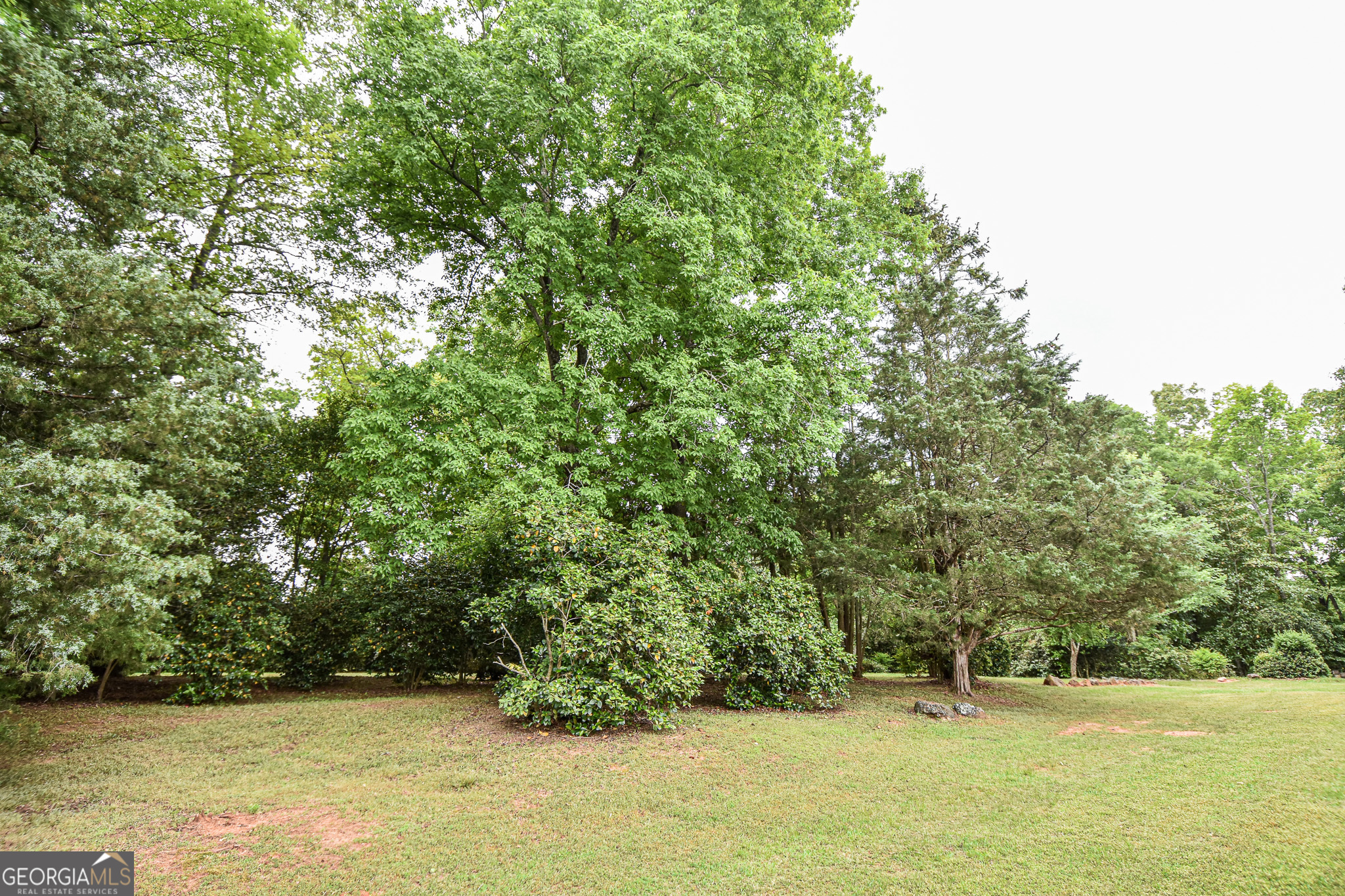 120 Mill Race Road Property Photo 87