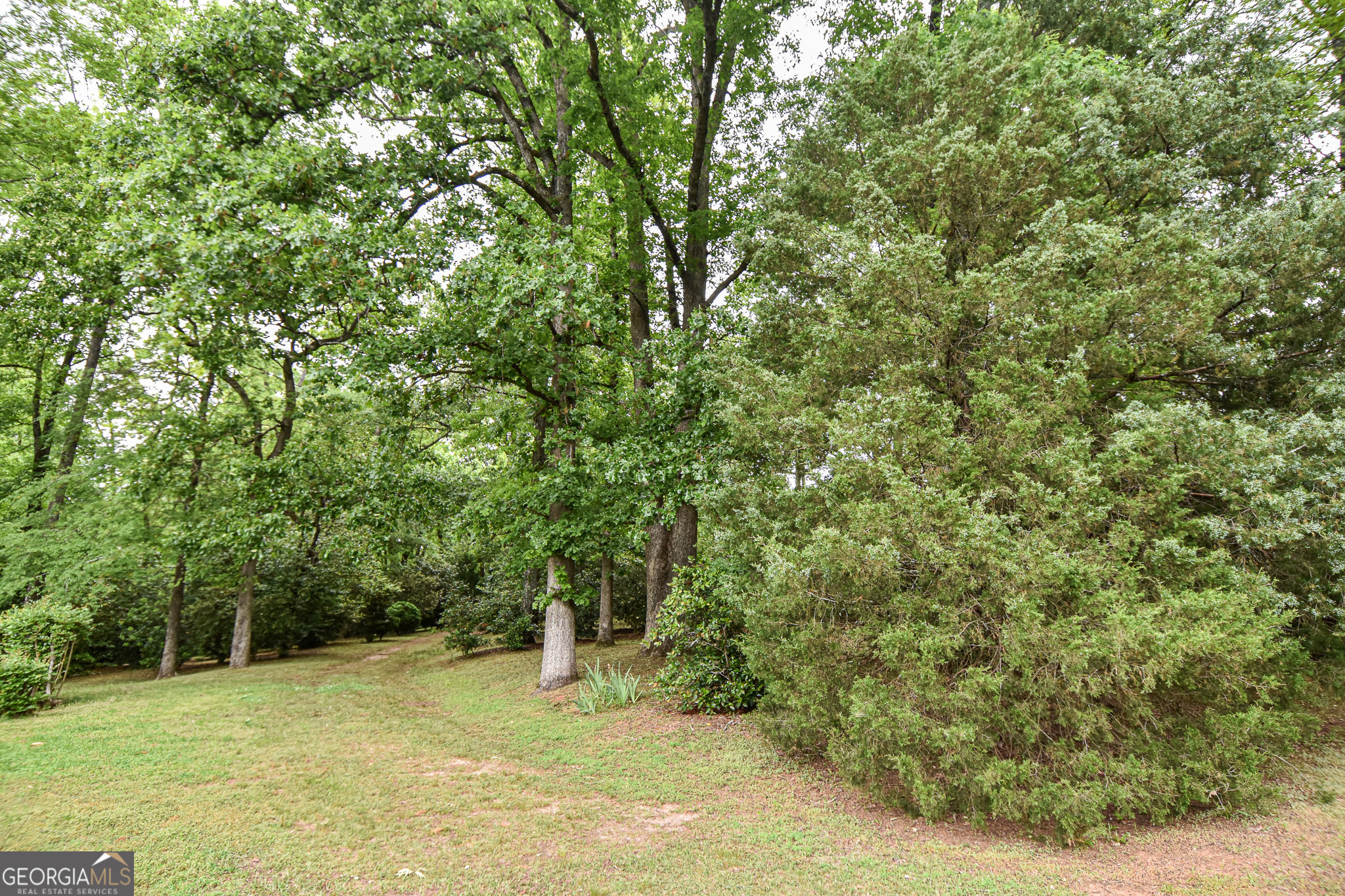 120 Mill Race Road Property Photo 88
