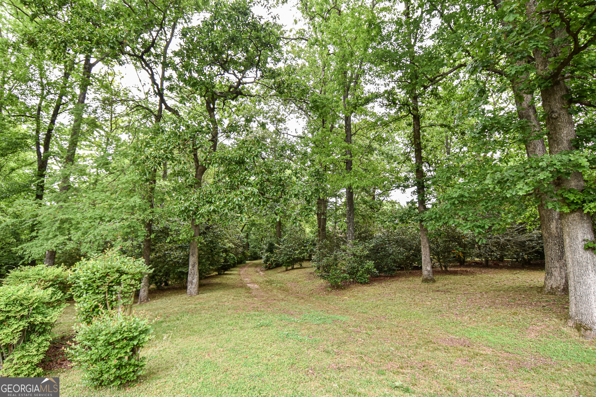 120 Mill Race Road Property Photo 89