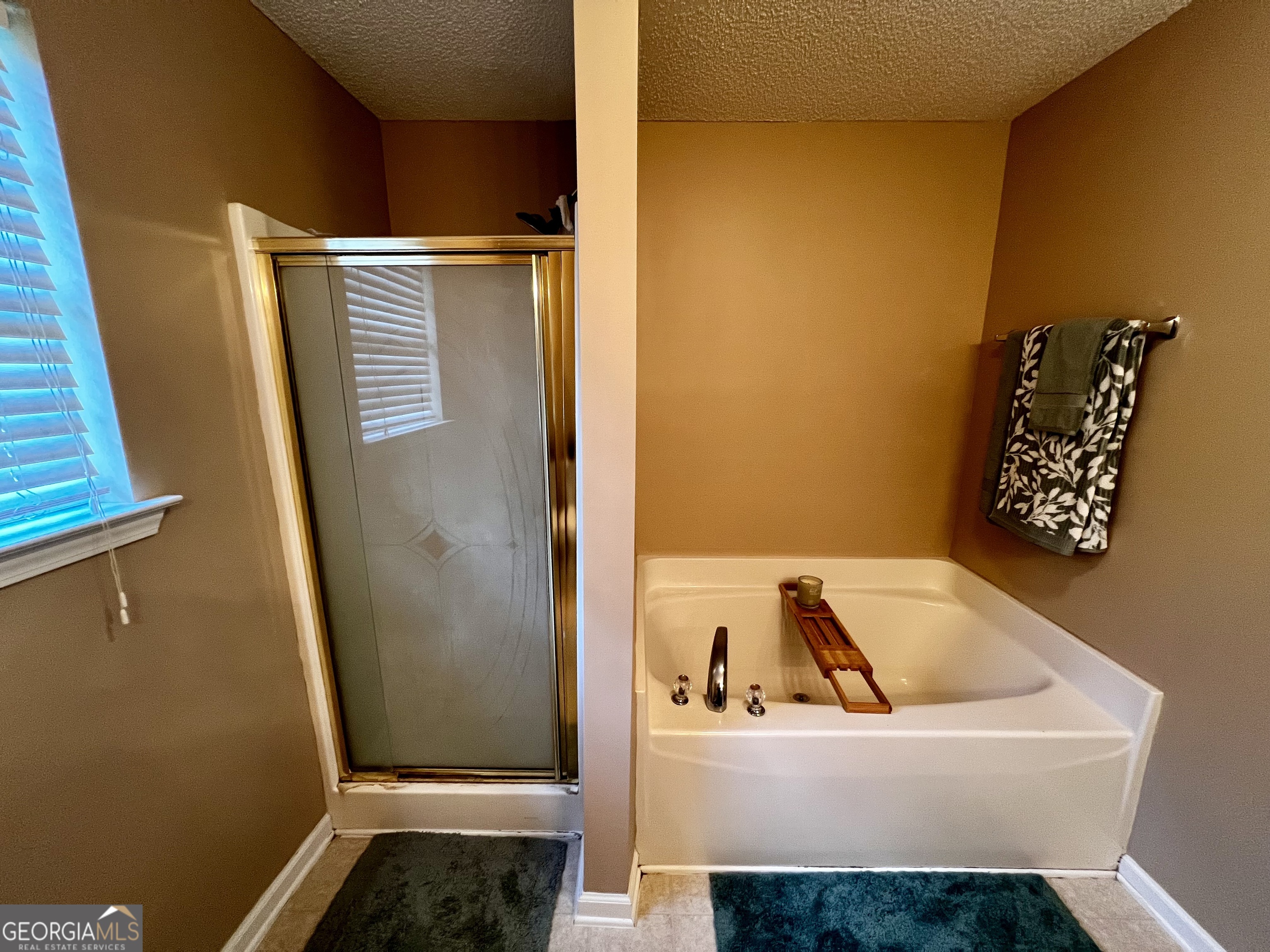 230 Autumn Ridge Court Property Photo 22