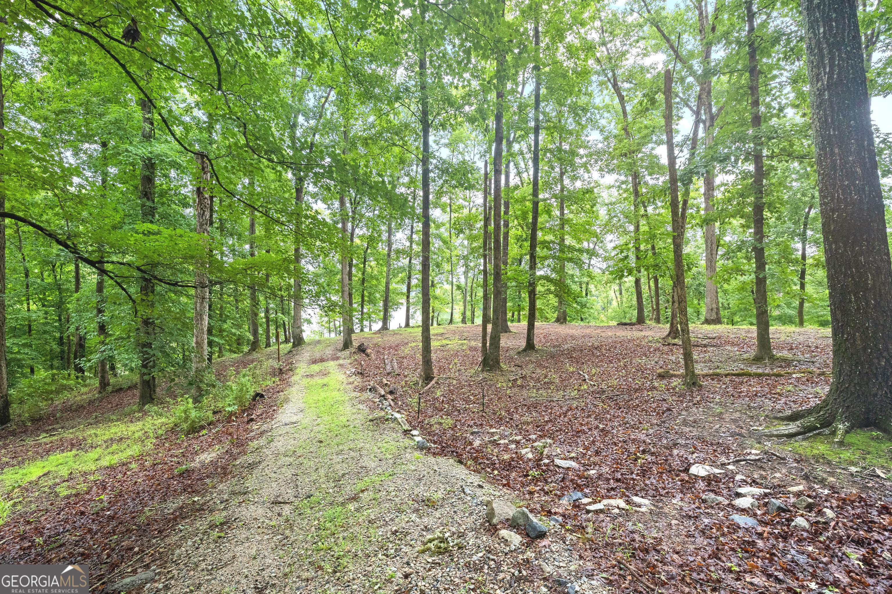 394 Ferrell Tatum Road Property Photo 8