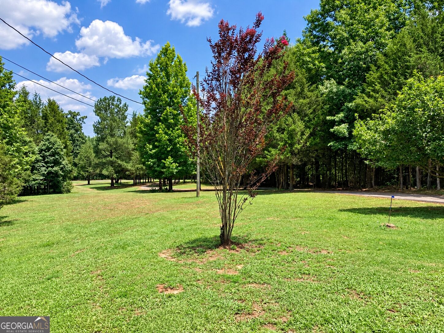 220 Ennis Road Property Photo 49