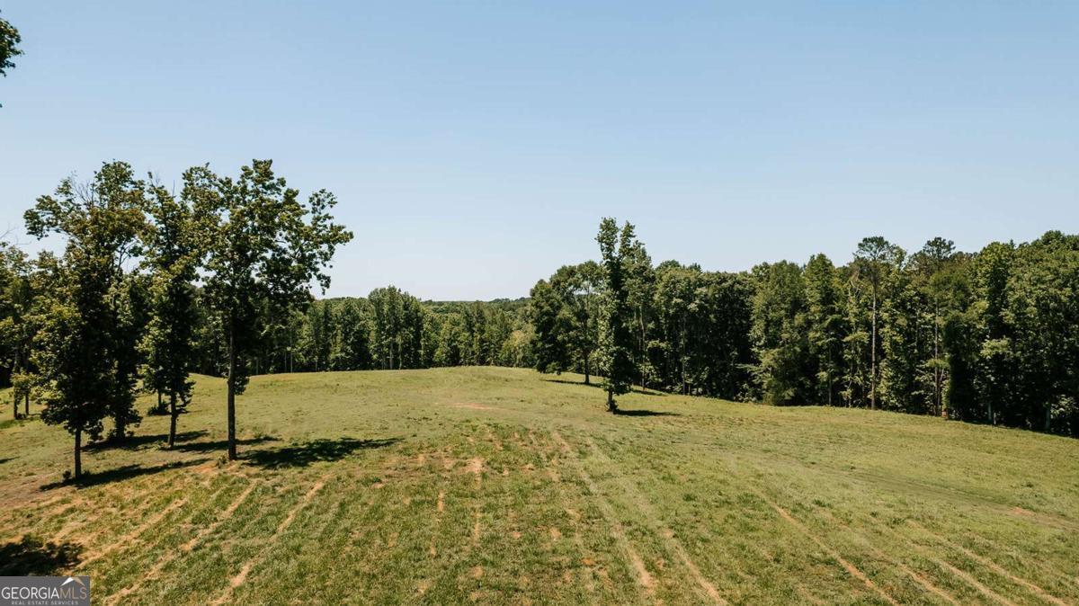 0 Mitchell Farm Road Property Photo 12