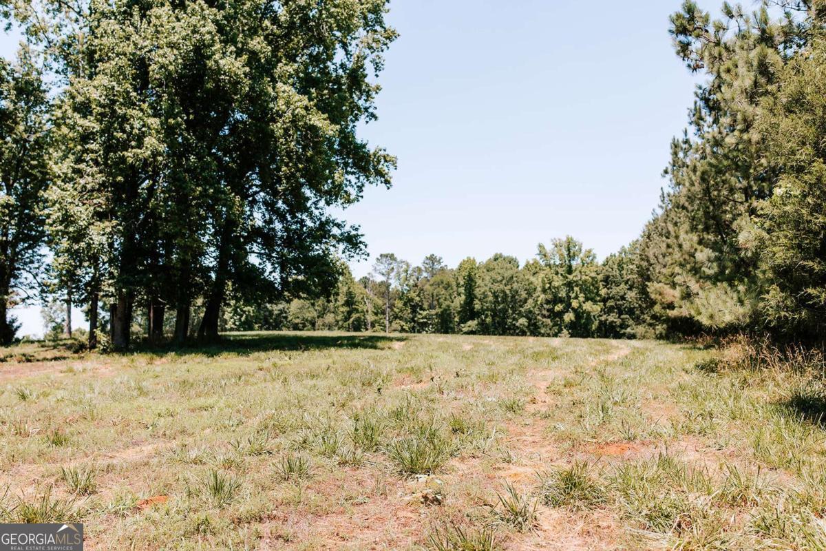 0 Mitchell Farm Road Property Photo 15