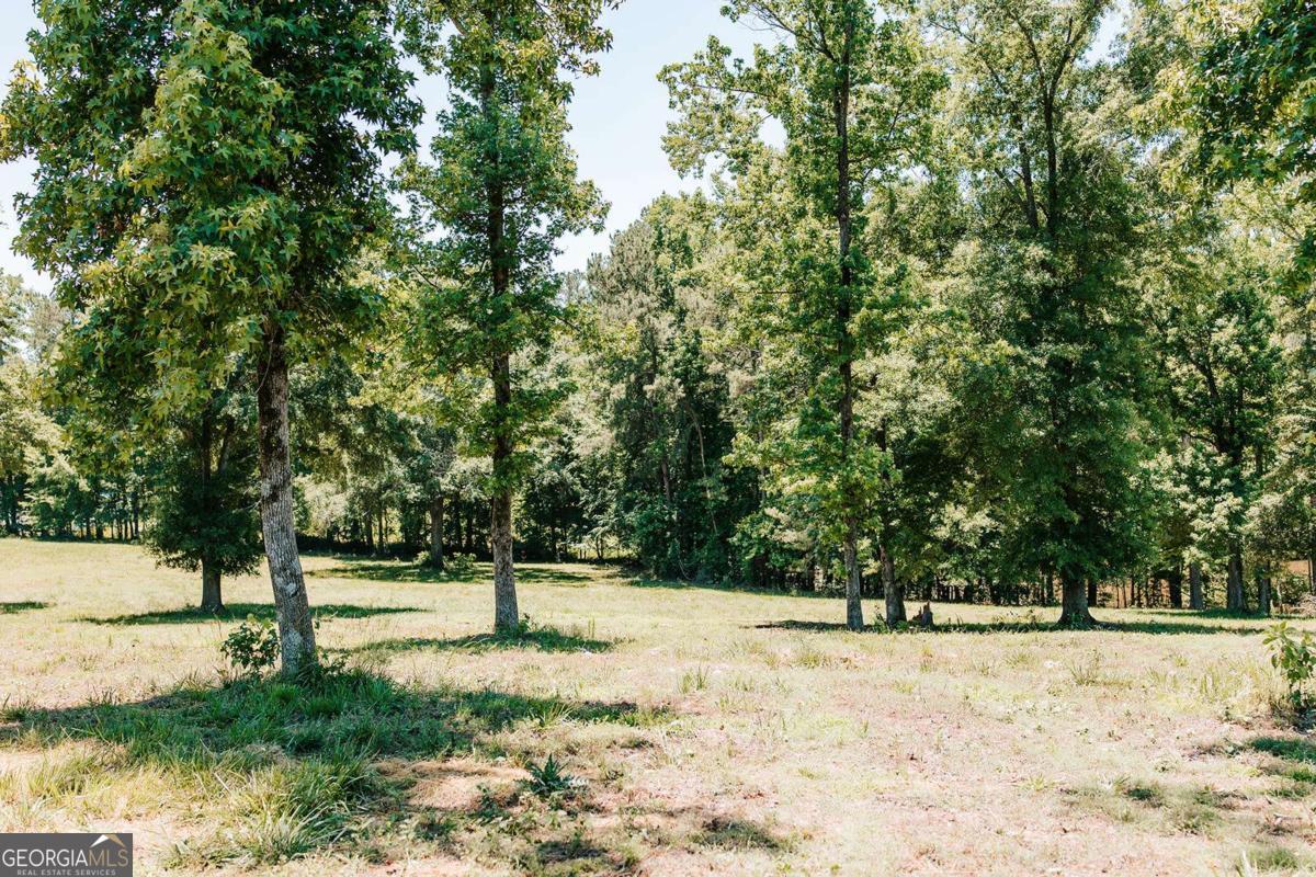 0 Mitchell Farm Road Property Photo 21
