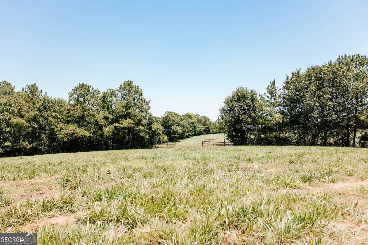 0 Mitchell Farm Road Property Photo 23