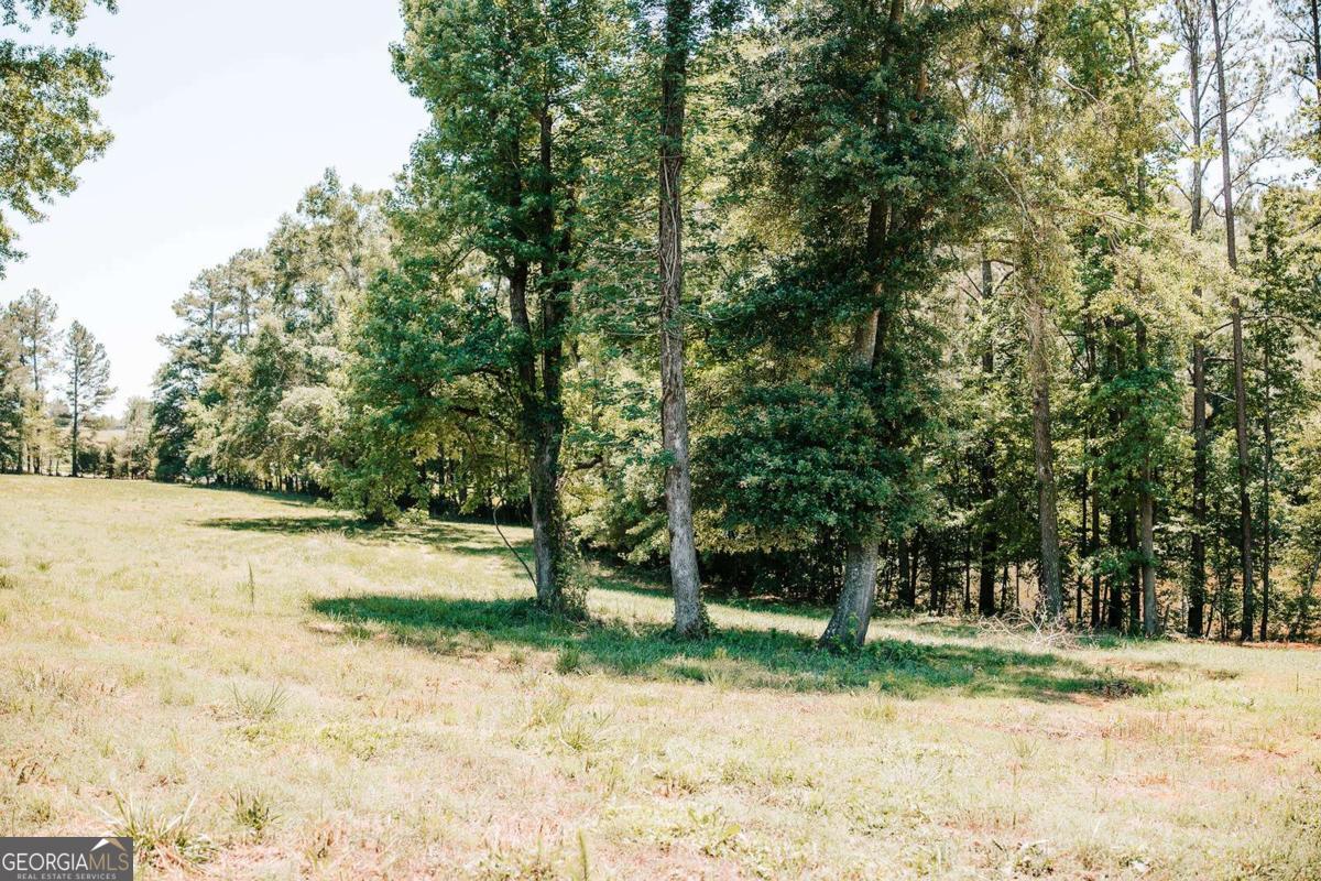 0 Mitchell Farm Road Property Photo 39