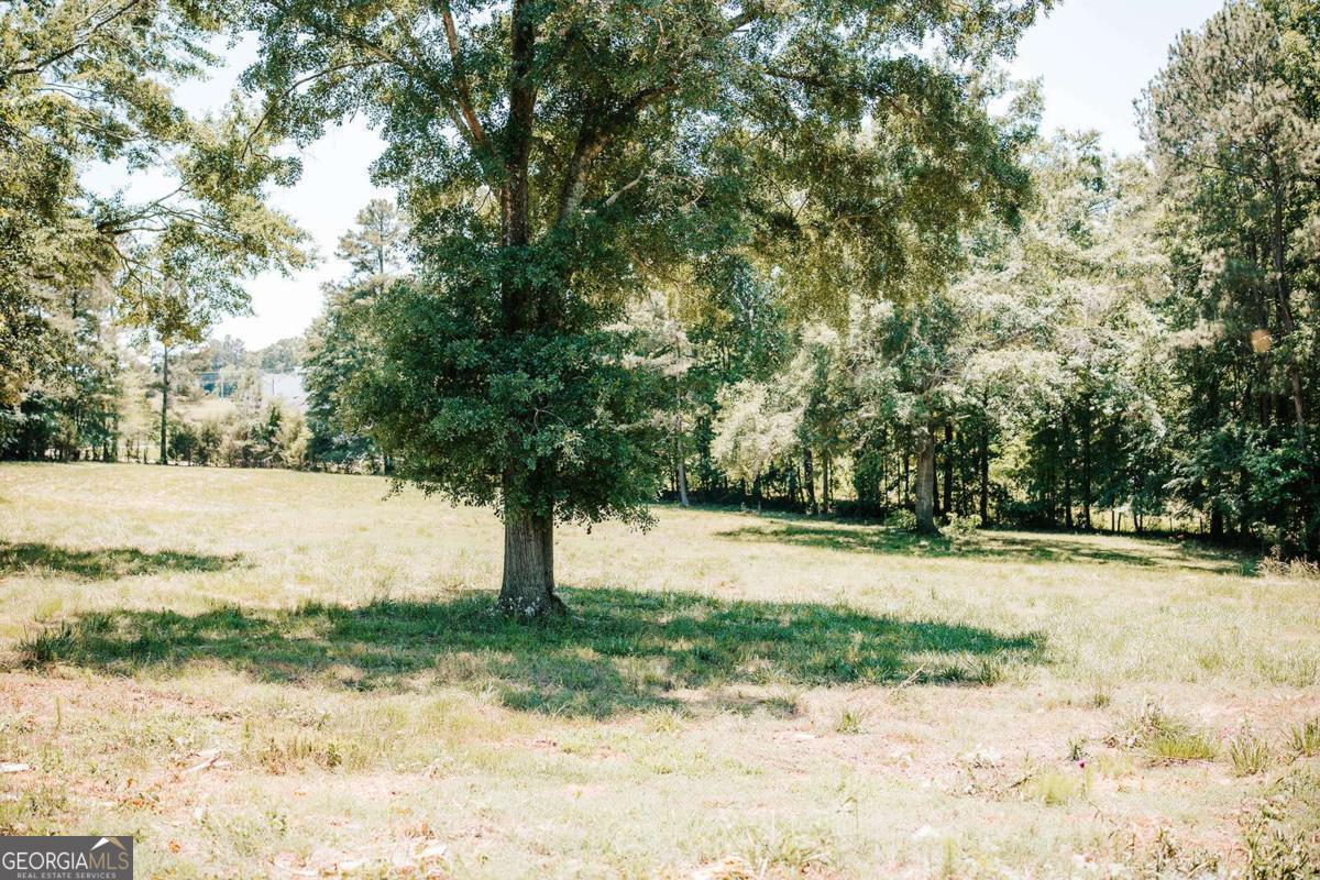 0 Mitchell Farm Road Property Photo 40