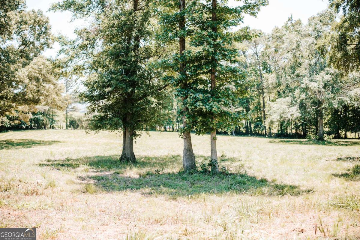 0 Mitchell Farm Road Property Photo 41