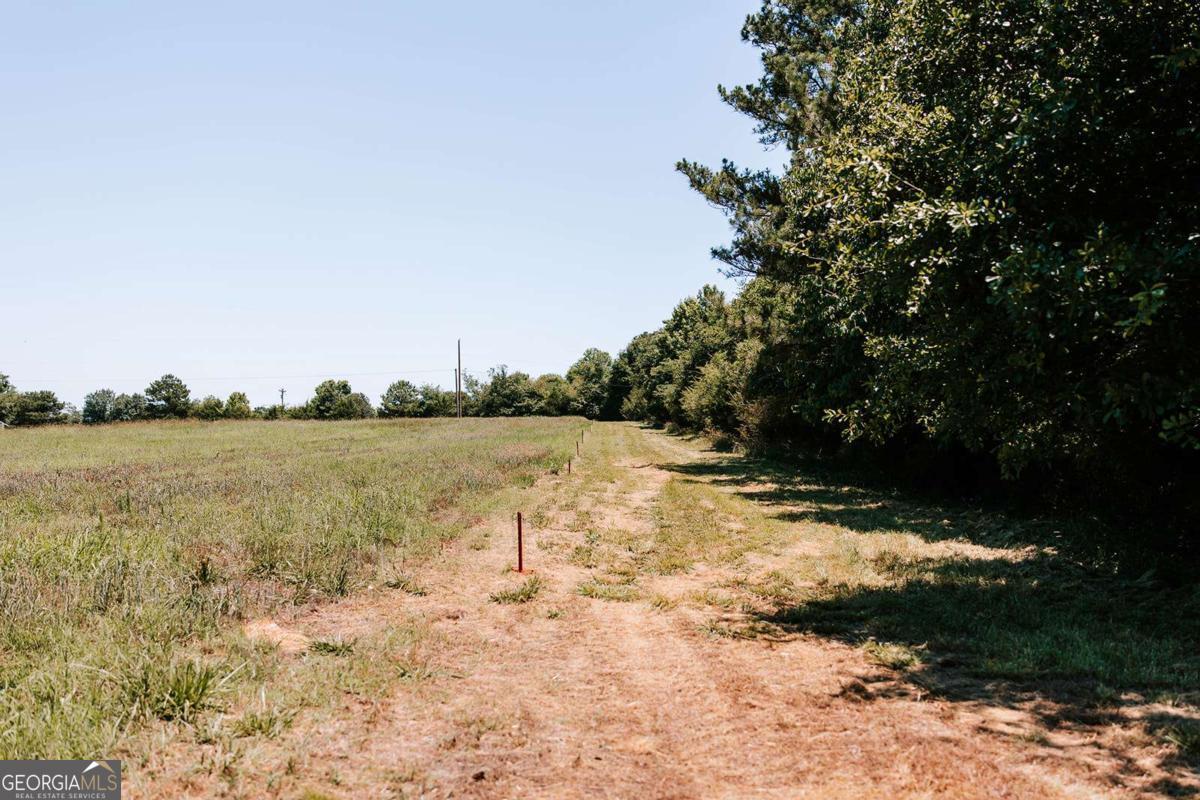 0 Mitchell Farm Road Property Photo 45