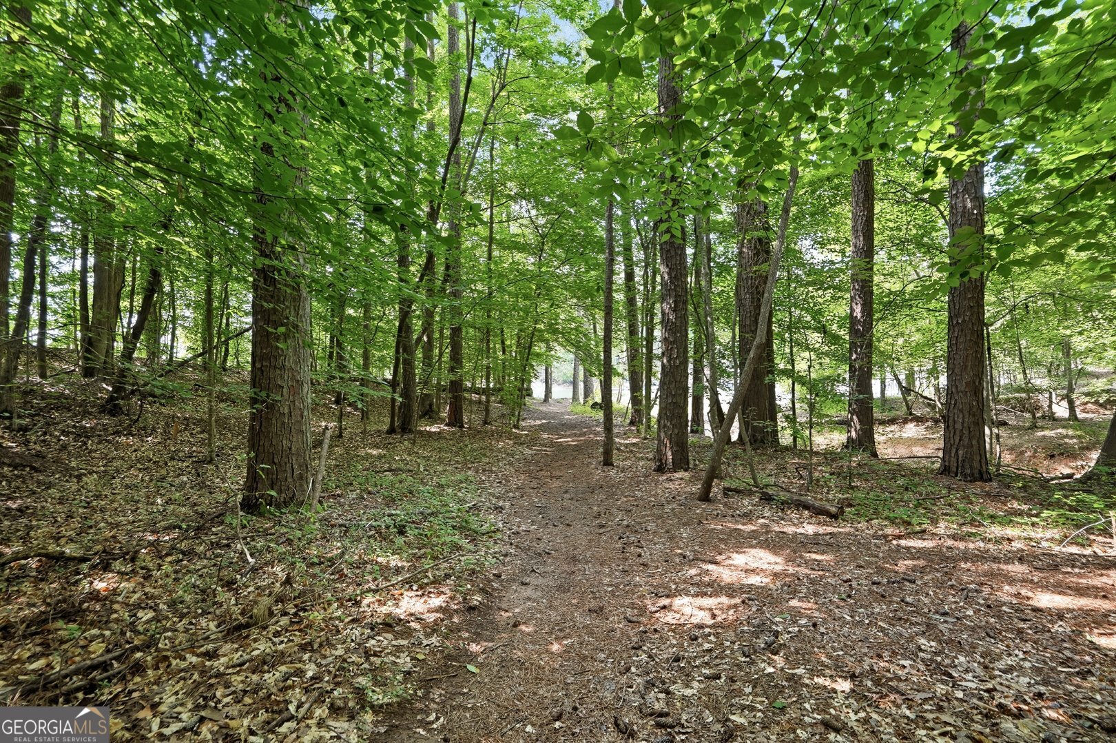 5804 County Court Property Photo 34