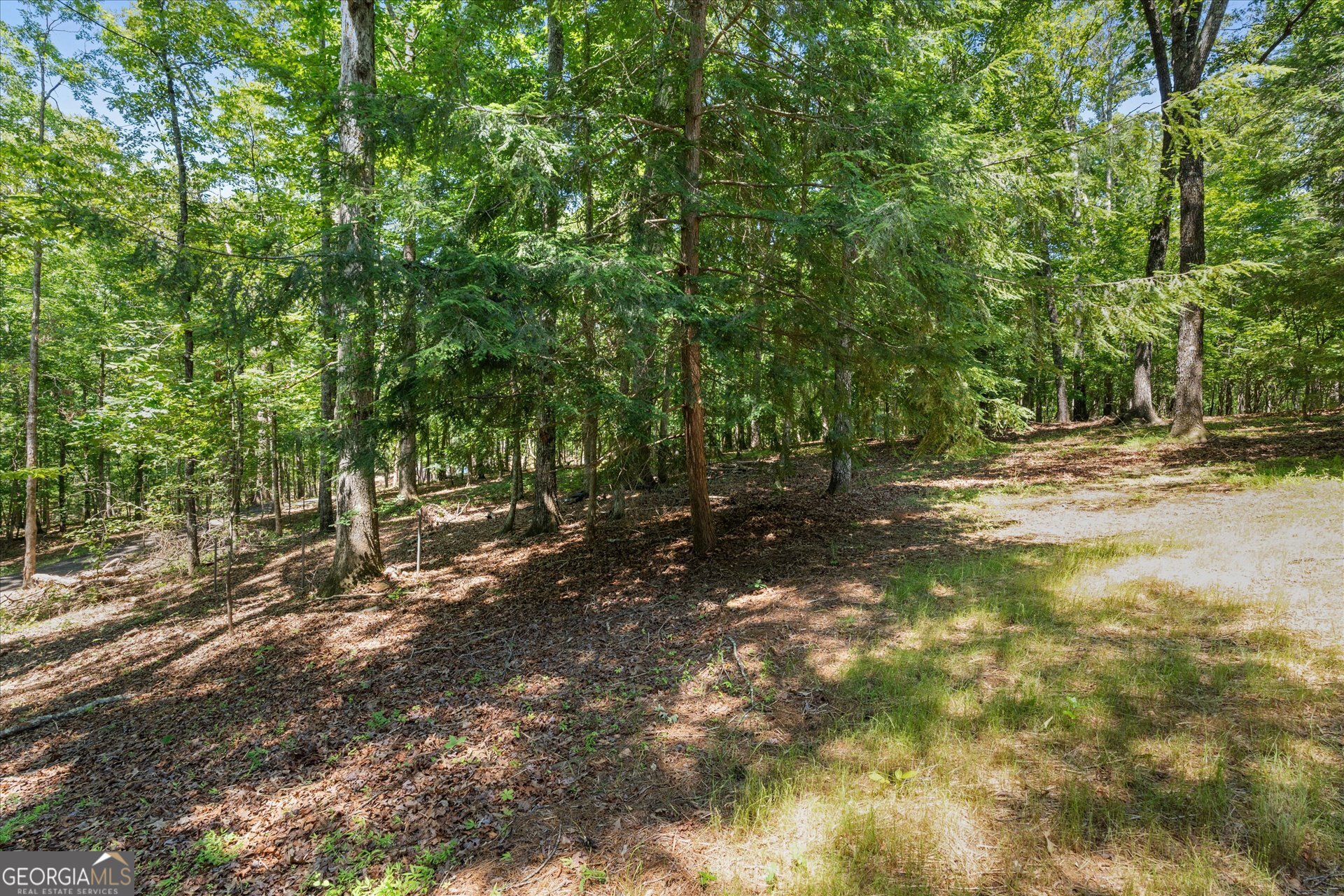 7448 Berea Road Property Photo 64