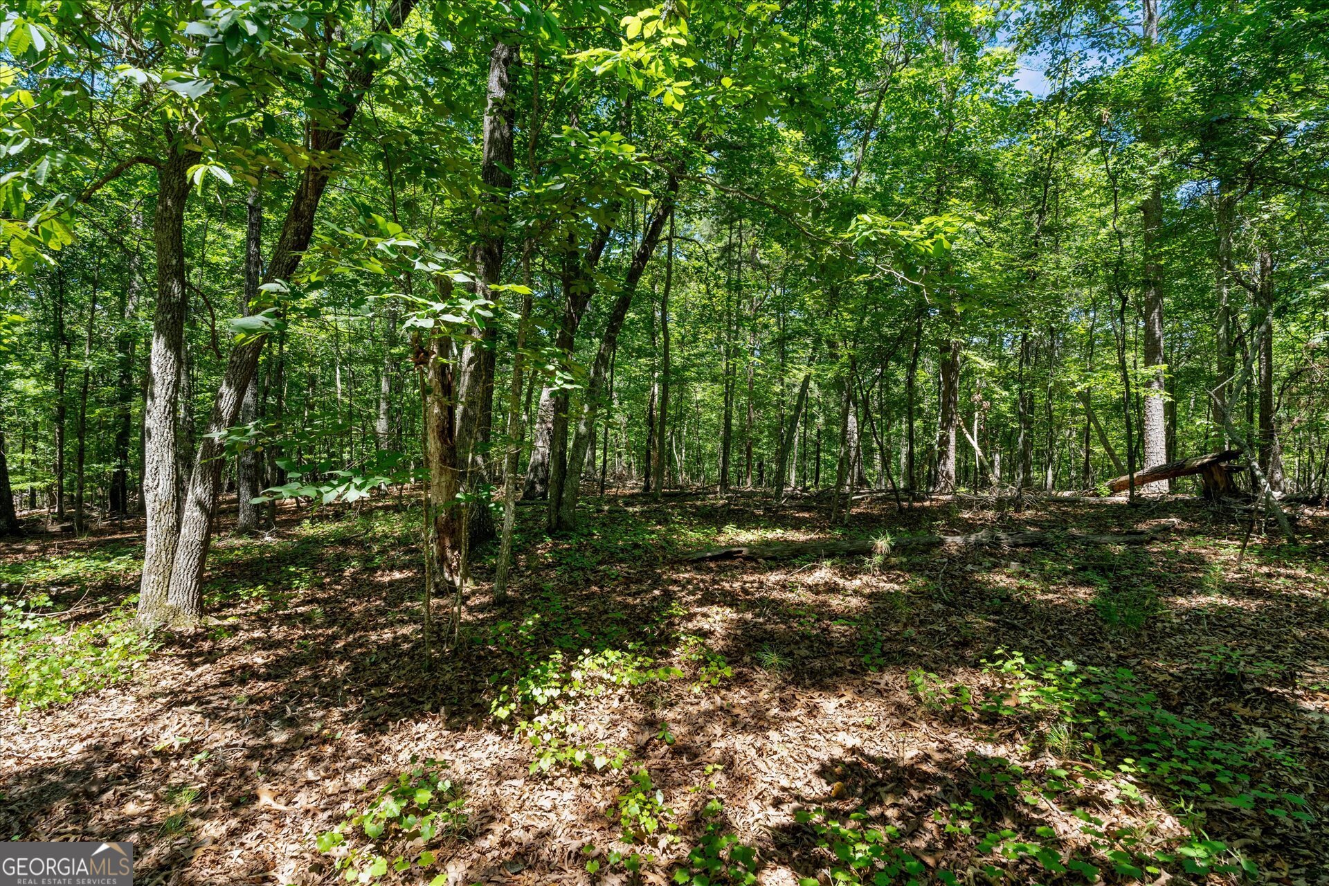 7448 Berea Road Property Photo 65
