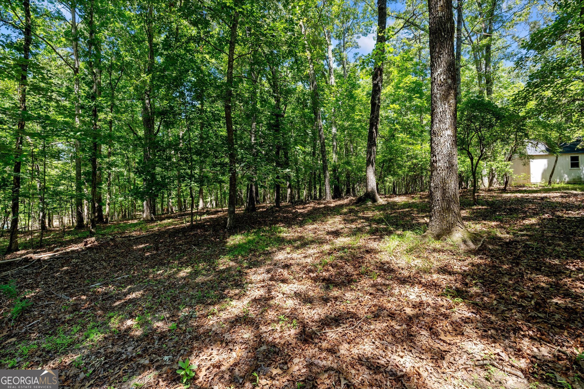 7448 Berea Road Property Photo 69