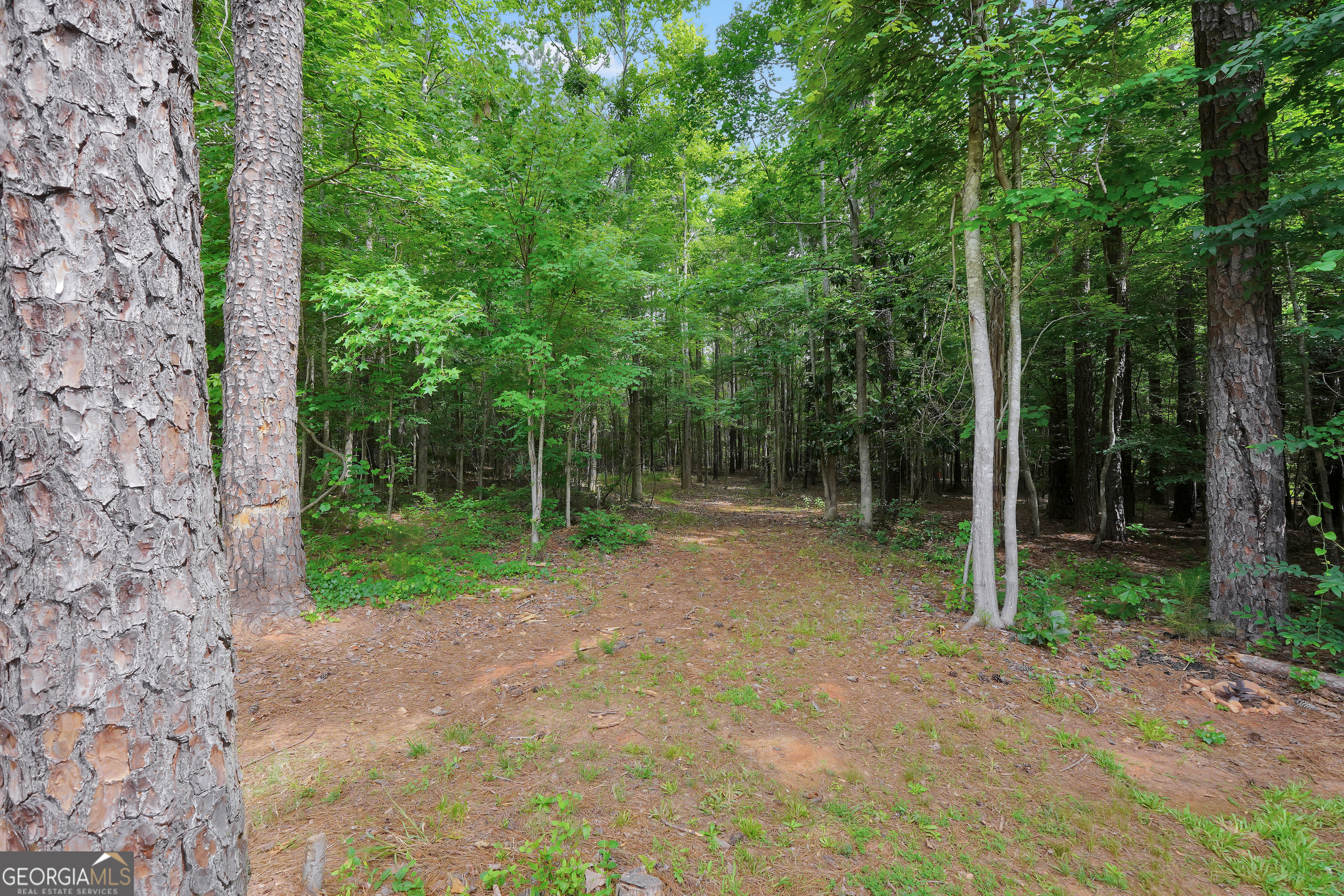 1577 Stark Road Property Photo 48