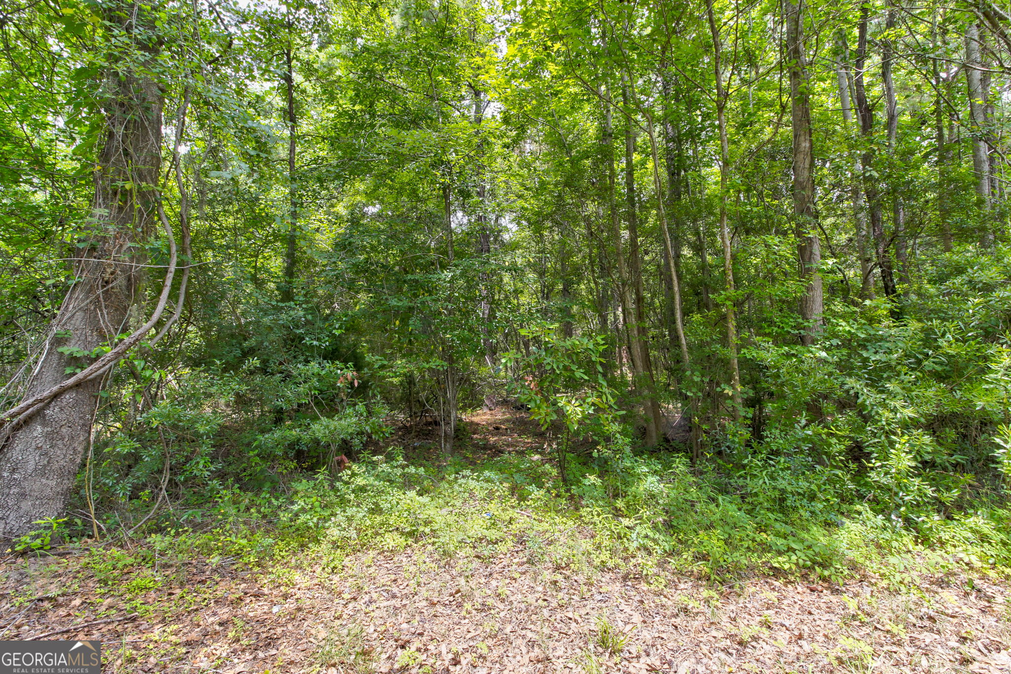 247 Cedar Lane Property Photo 22
