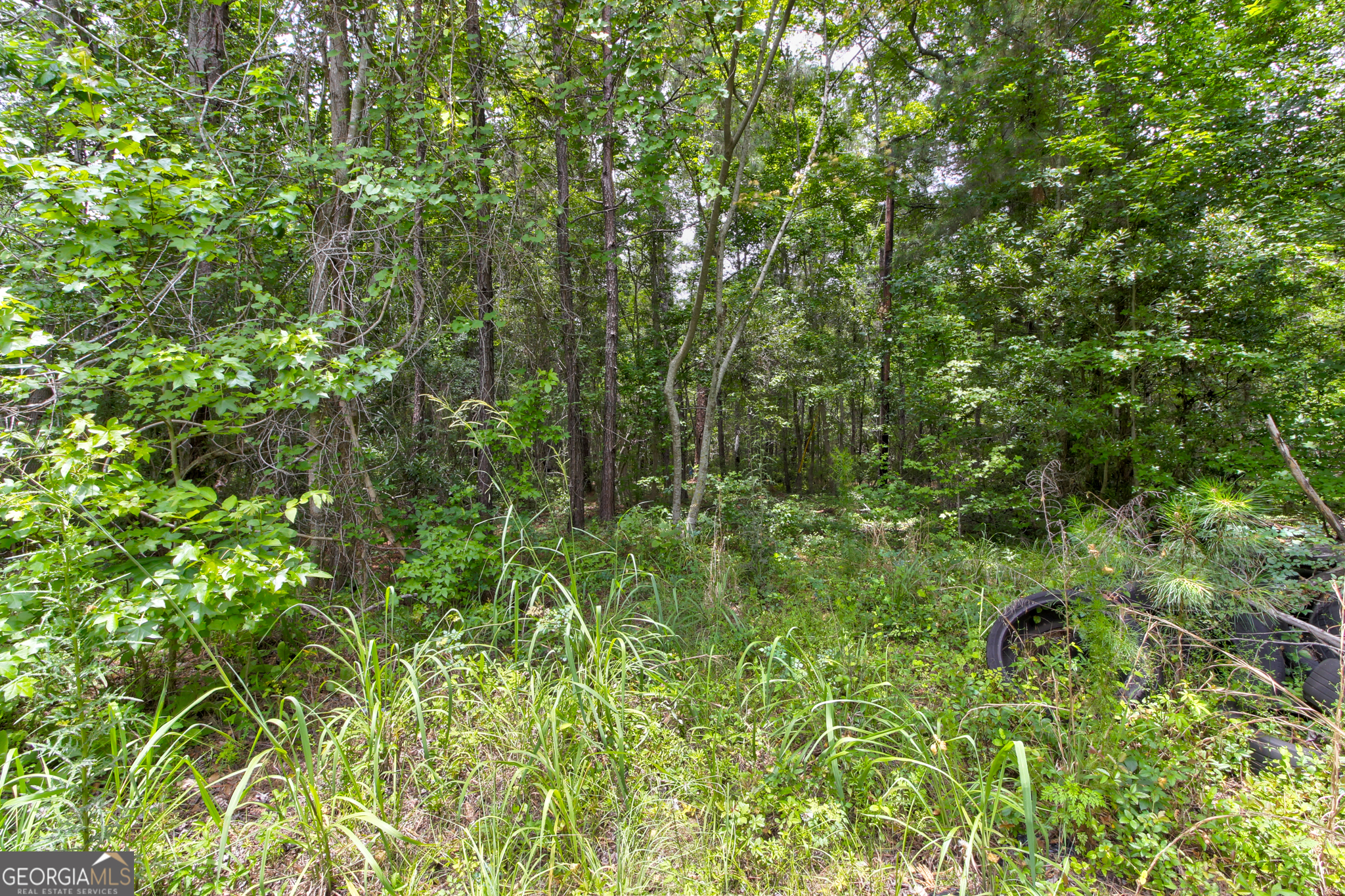 247 Cedar Lane Property Photo 23