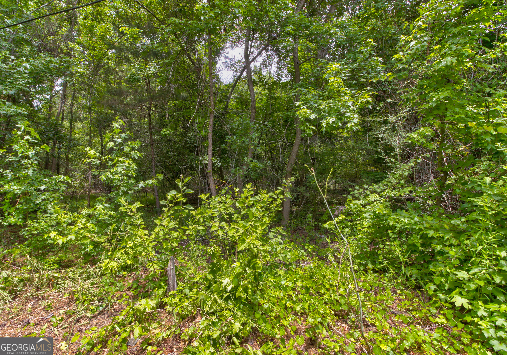 247 Cedar Lane Property Photo 24
