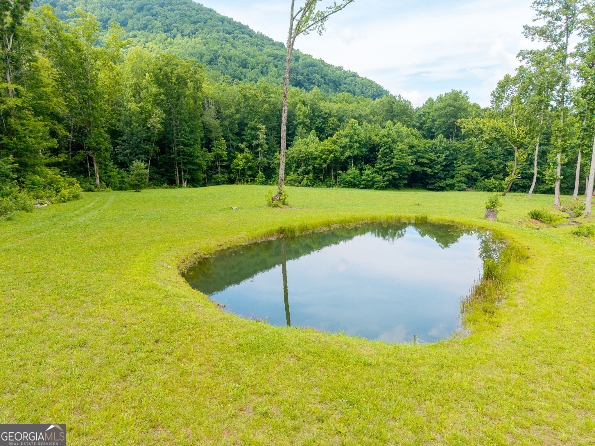 1449 Muskrat Creek Road Property Photo 9
