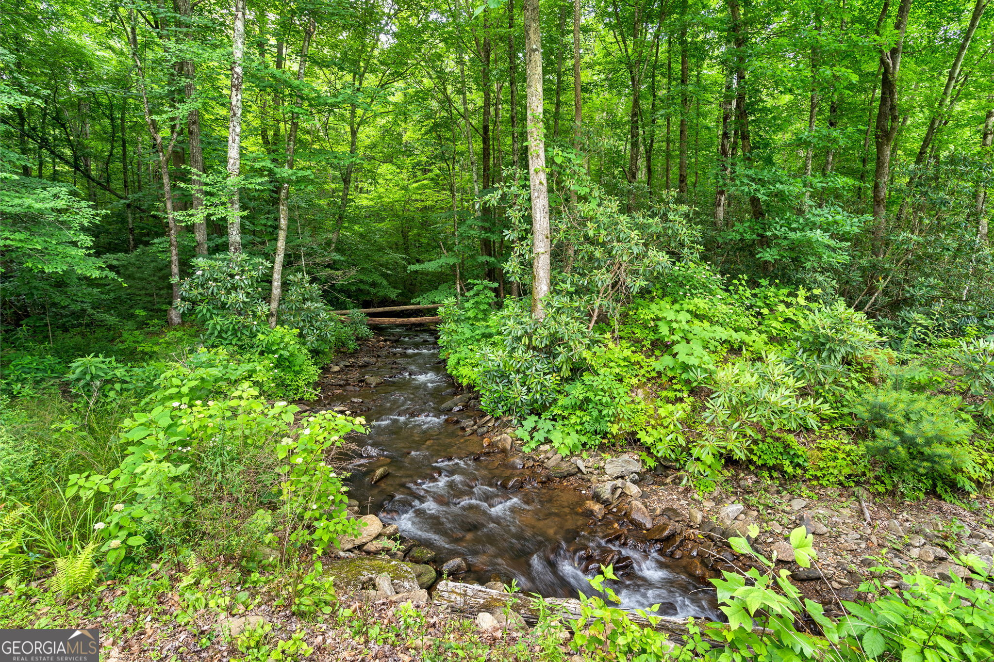 1449 Muskrat Creek Road Property Photo 39