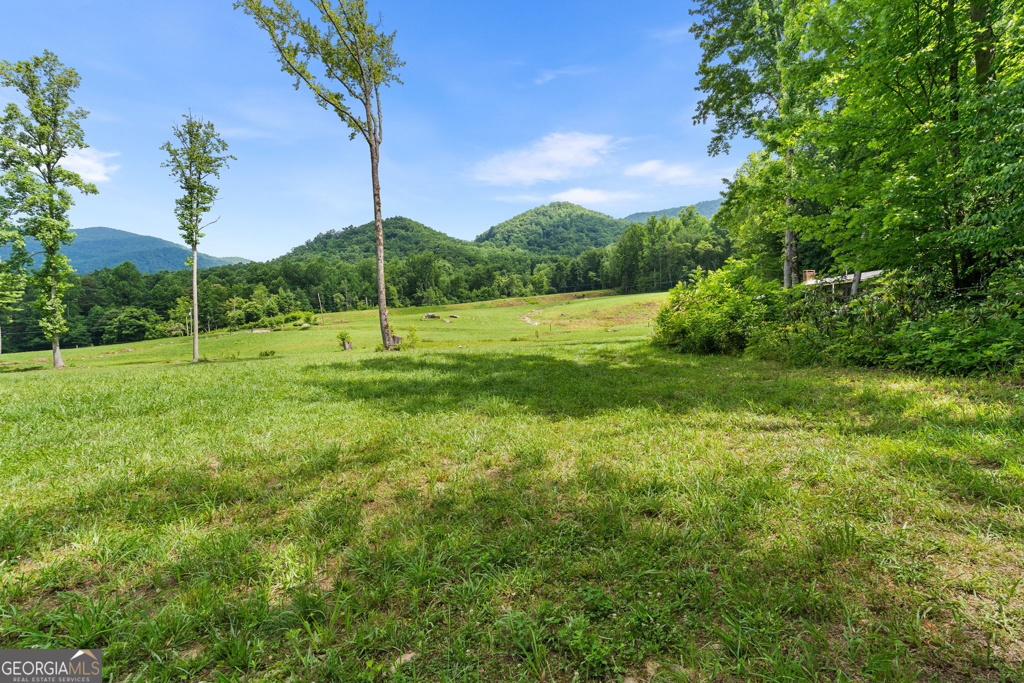 1449 Muskrat Creek Road Property Photo 43