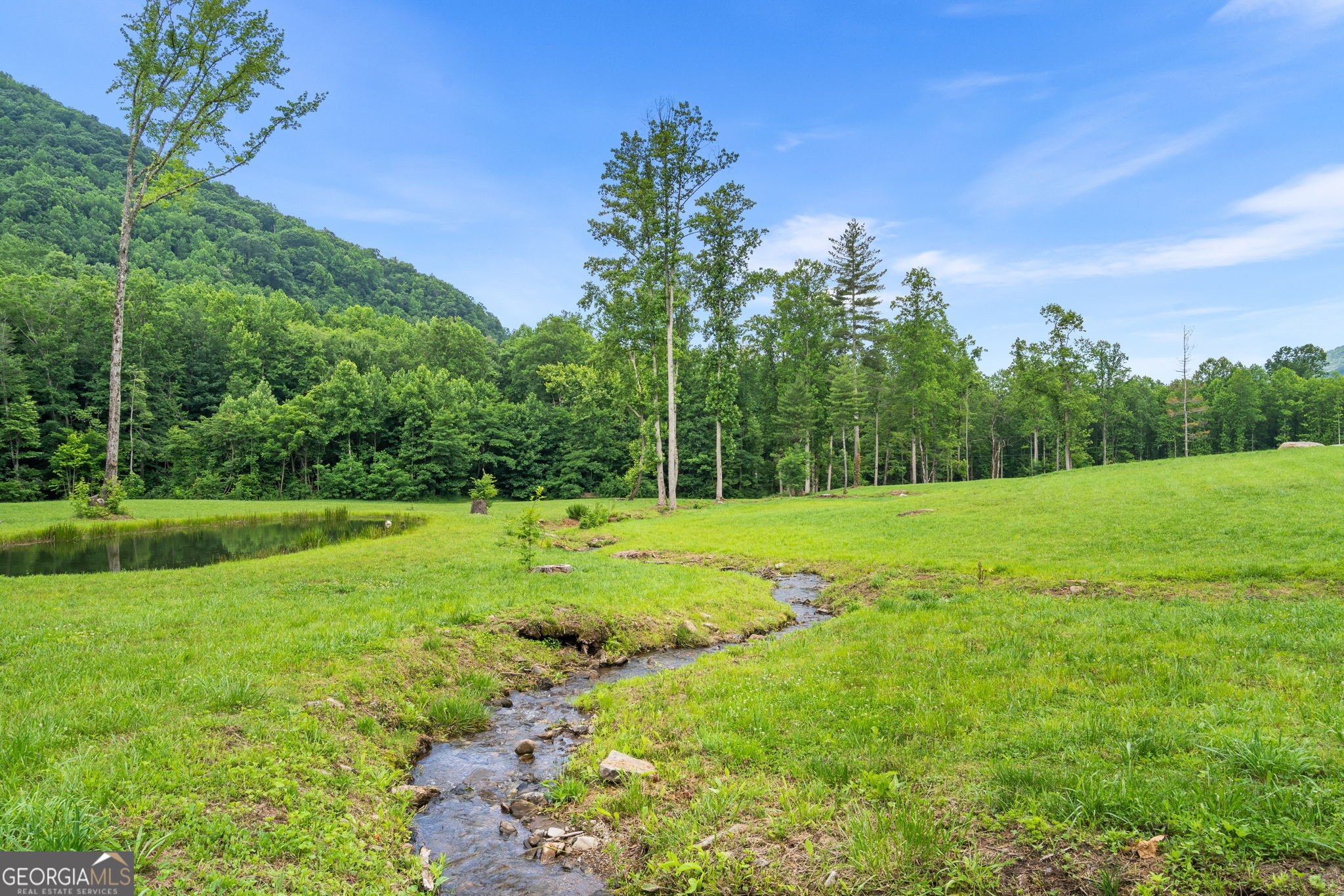 1449 Muskrat Creek Road Property Photo 46