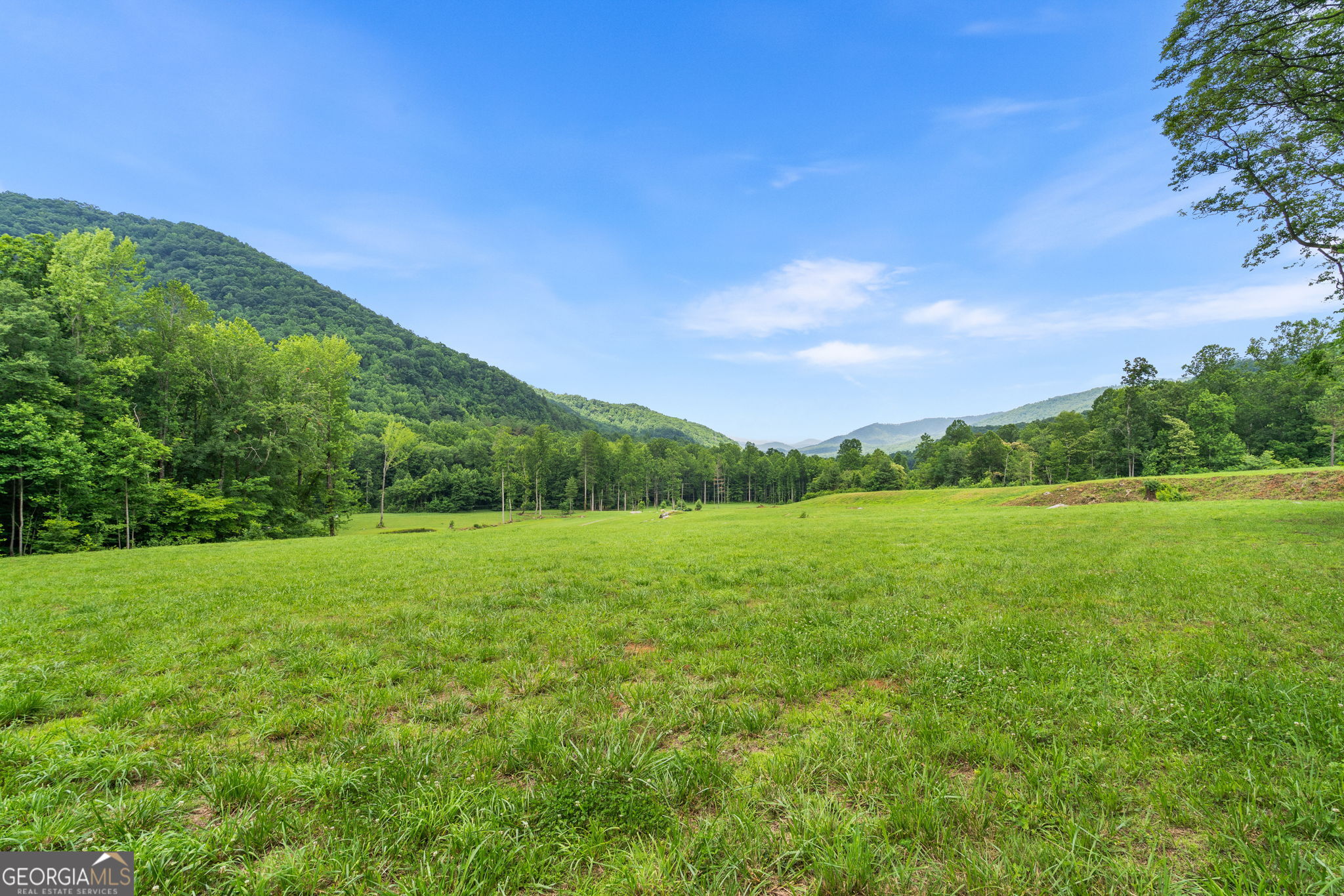 1449 Muskrat Creek Road Property Photo 47