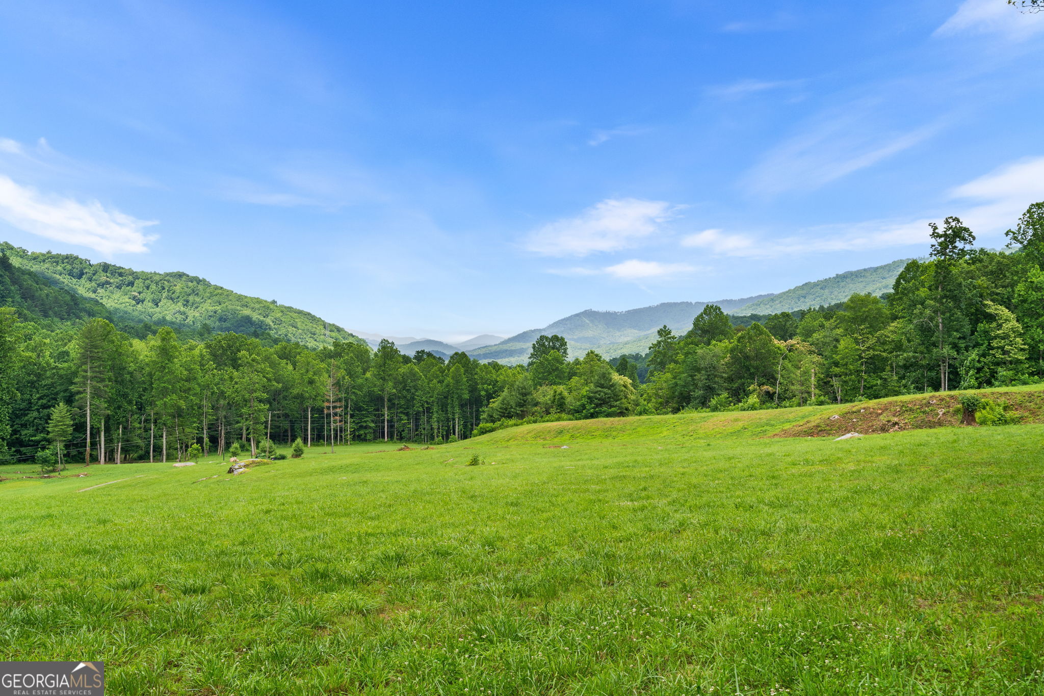 1449 Muskrat Creek Road Property Photo 48