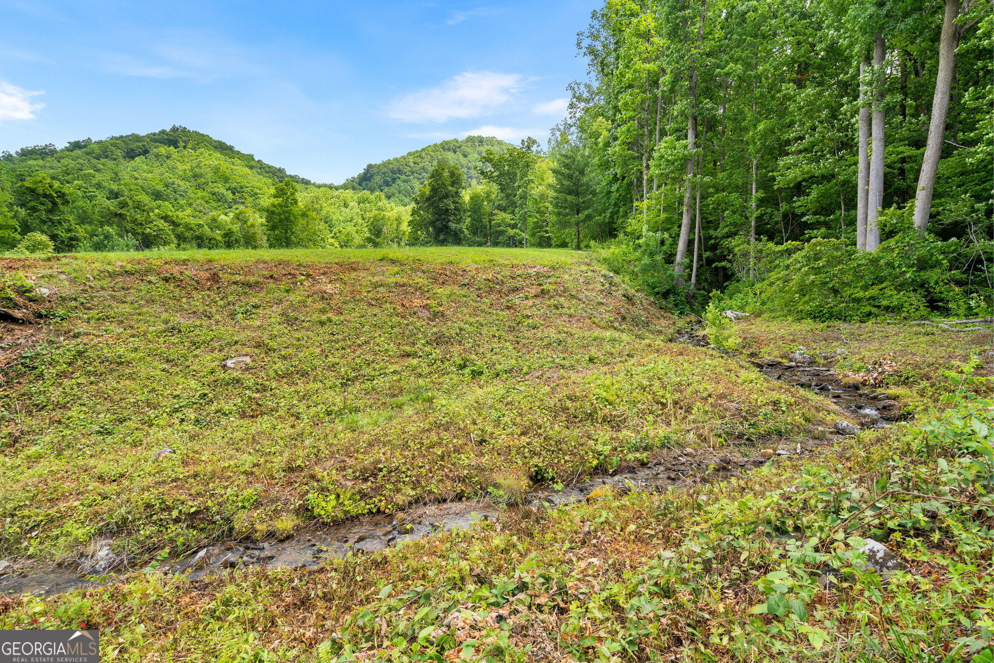 1449 Muskrat Creek Road Property Photo 49
