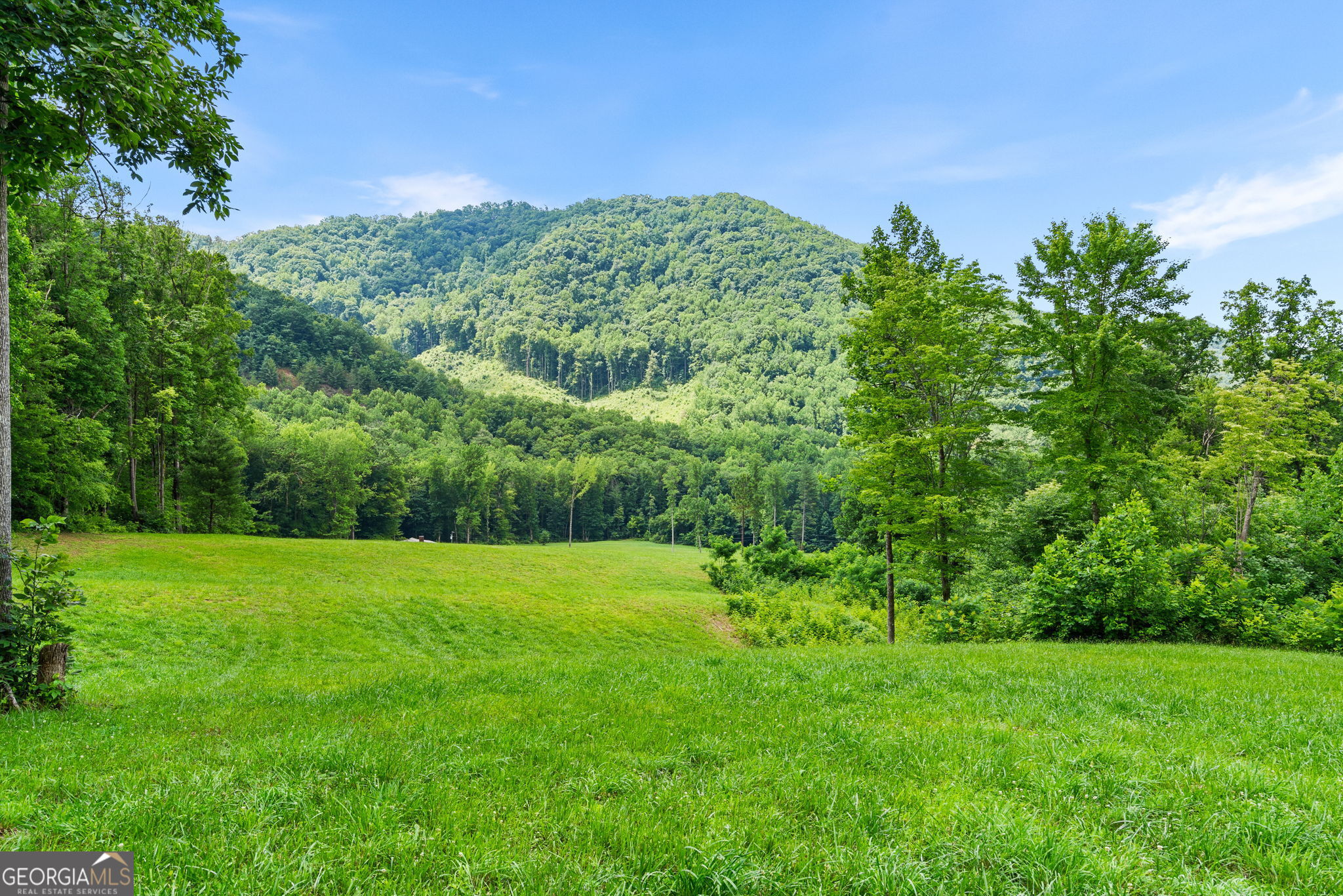 1449 Muskrat Creek Road Property Photo 50