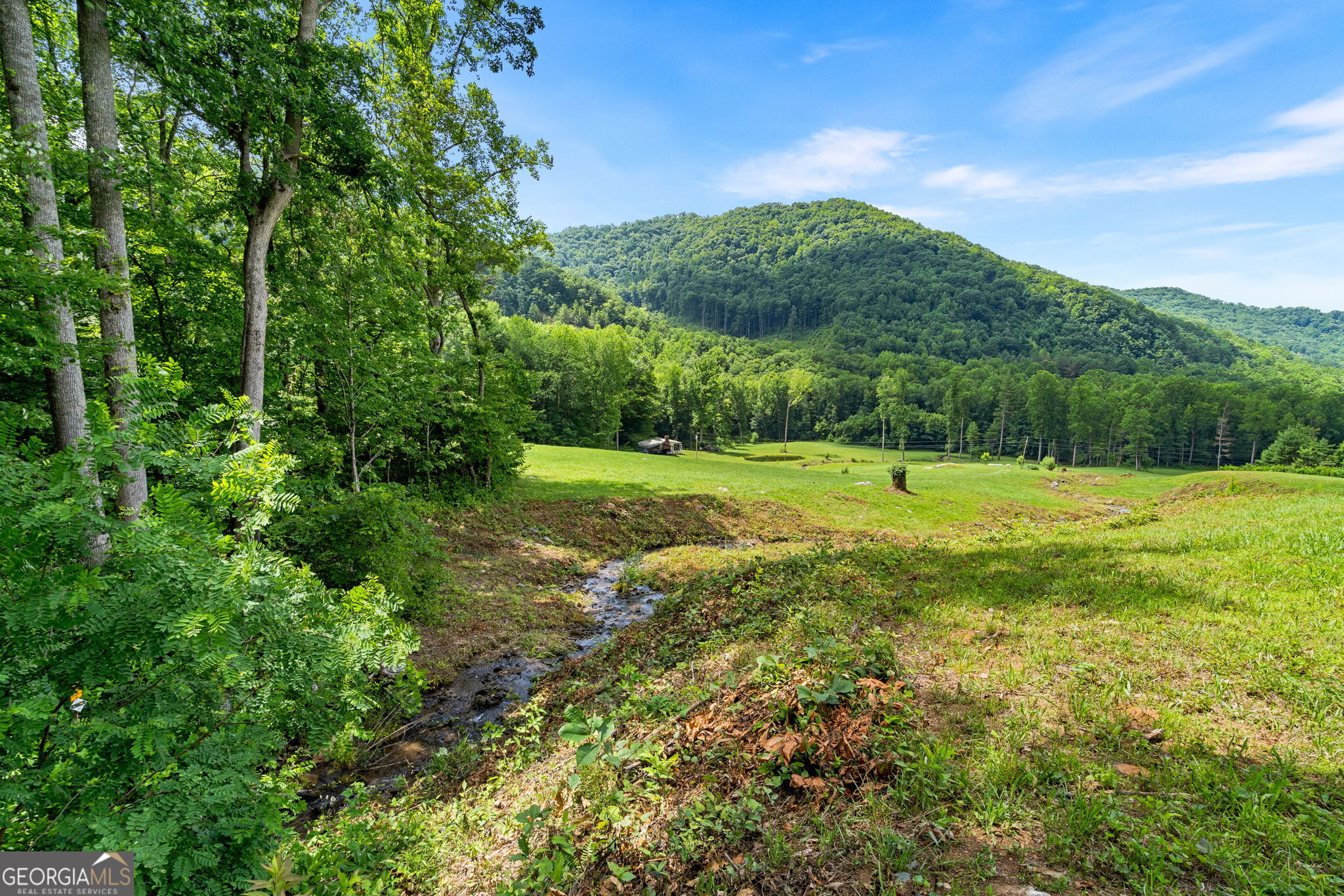 1449 Muskrat Creek Road Property Photo 51