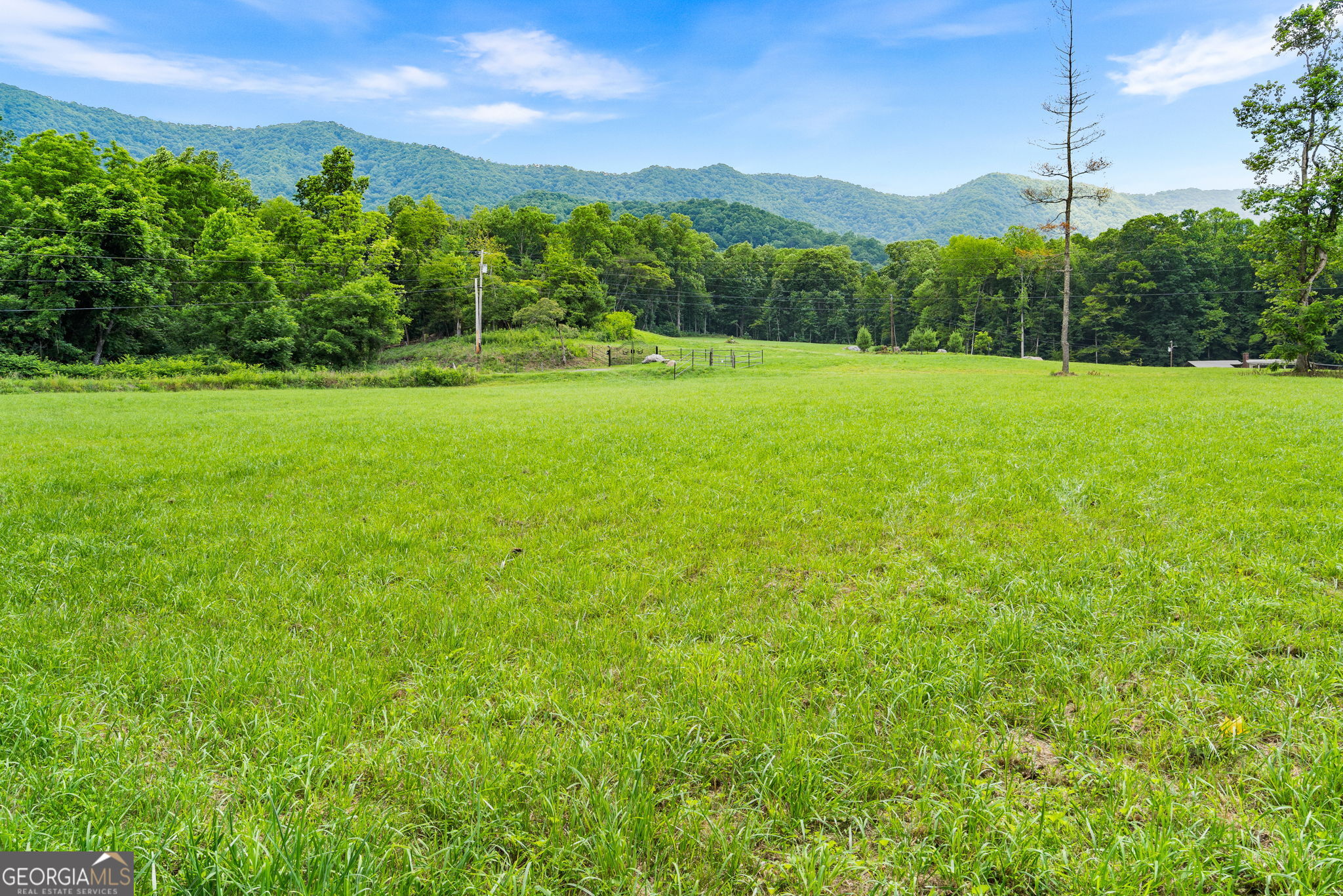 1449 Muskrat Creek Road Property Photo 52