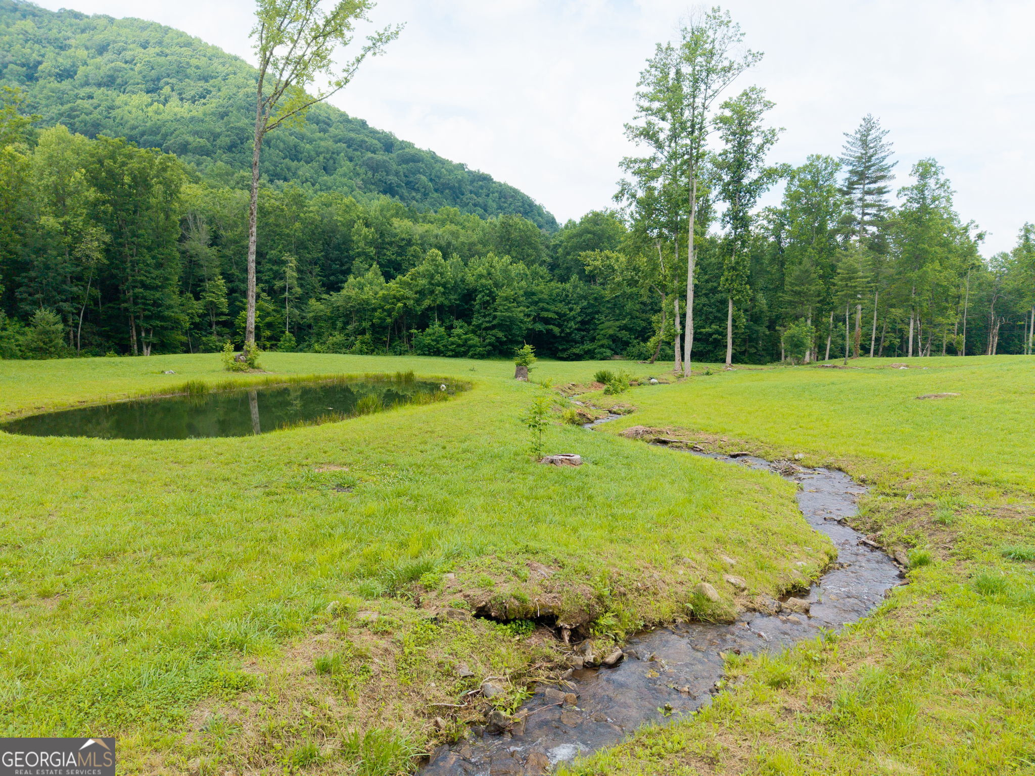 1449 Muskrat Creek Road Property Photo 58
