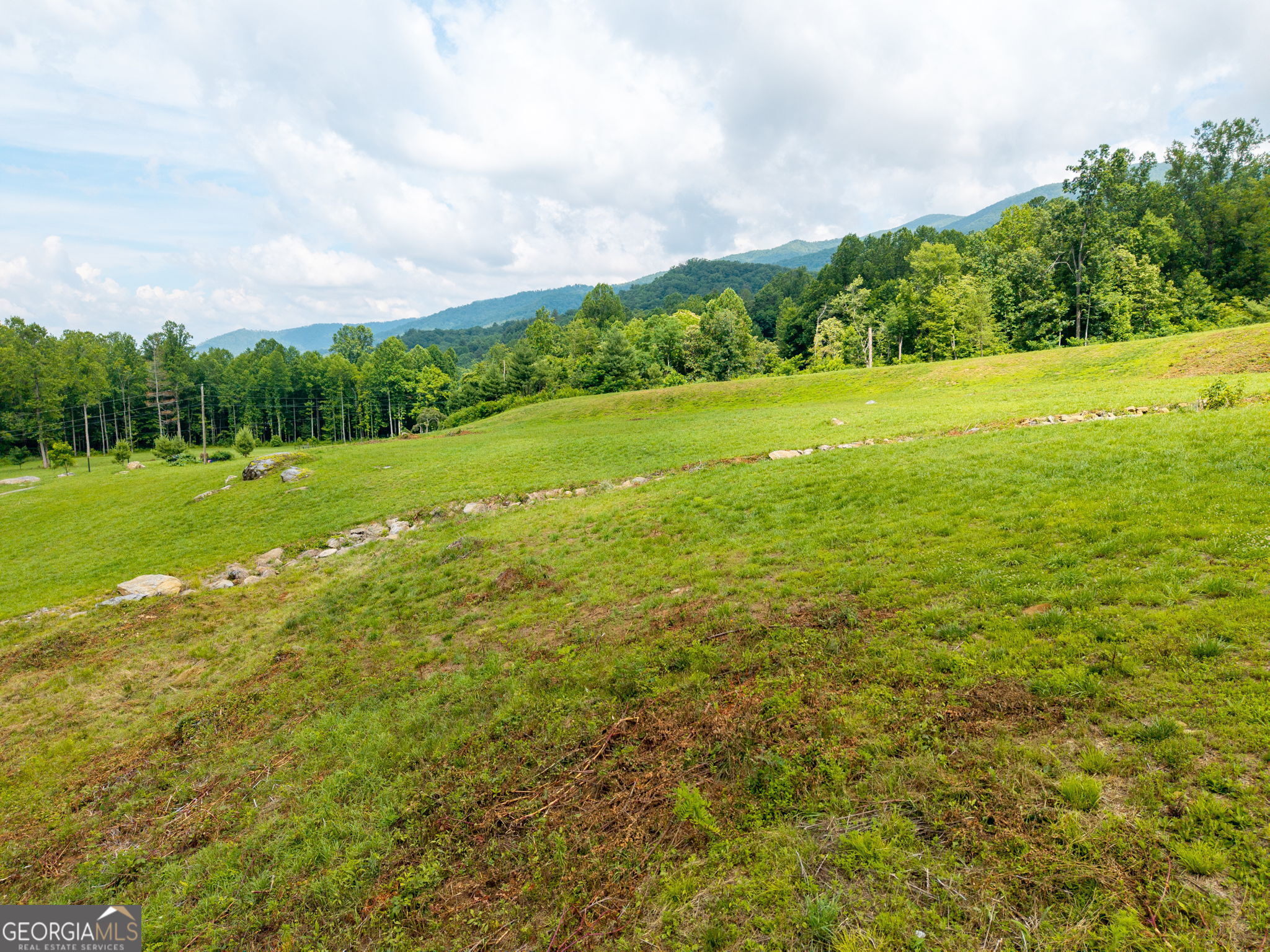 1449 Muskrat Creek Road Property Photo 59