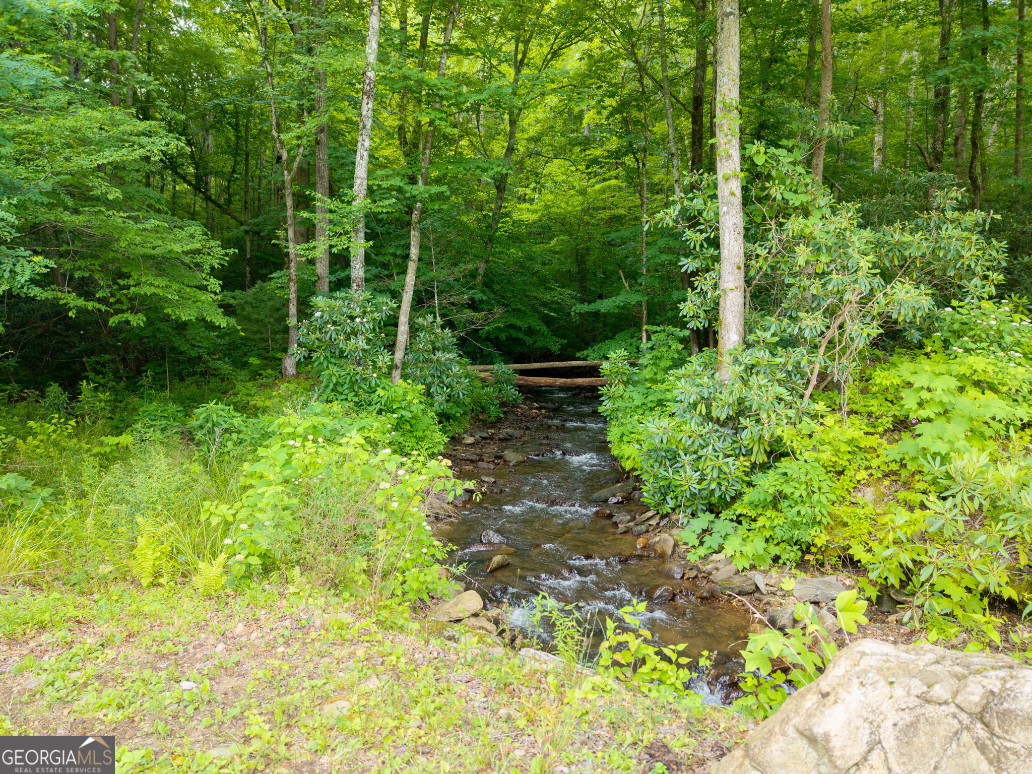 1449 Muskrat Creek Road Property Photo 64