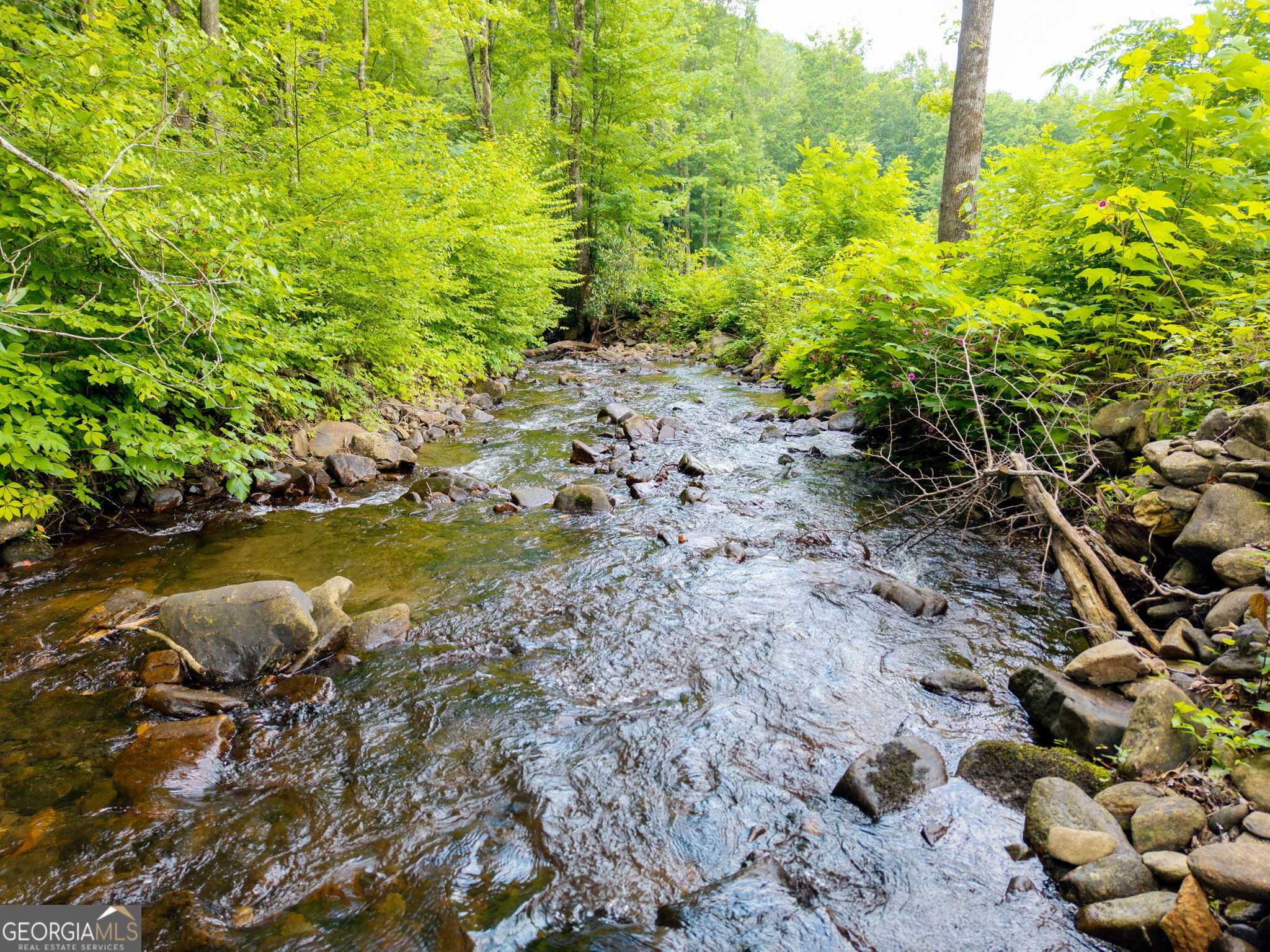 1449 Muskrat Creek Road Property Photo 67