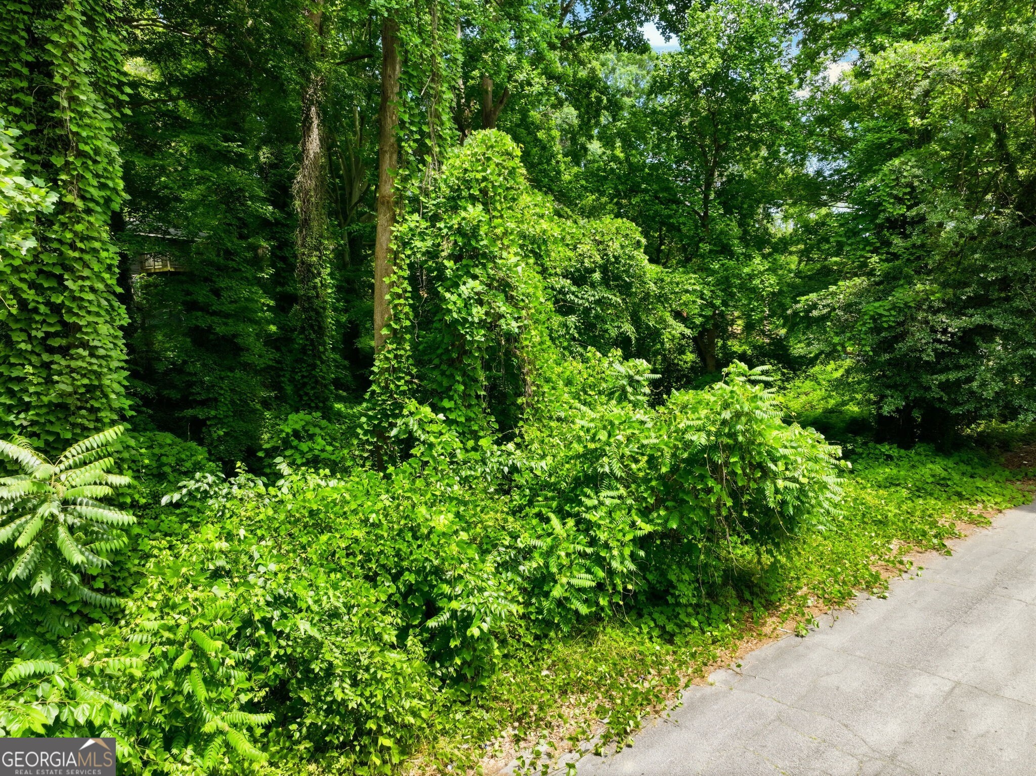 0 Spring Lane Nw Property Photo 5