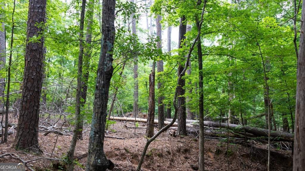0 Indian Cirlce Property Photo 6