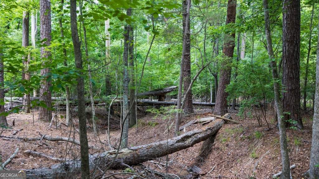 0 Indian Cirlce Property Photo 7