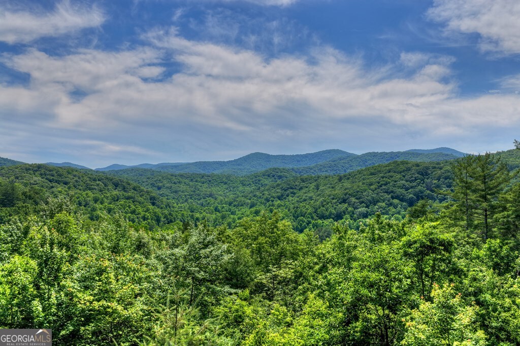 277 Hickory Nut Trail Property Photo 12